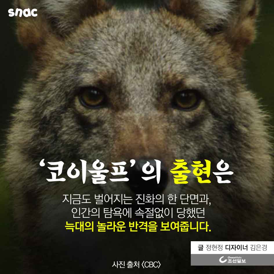 종간 잡종(Hybrid)은 새로운 종인가?, image size:945x945