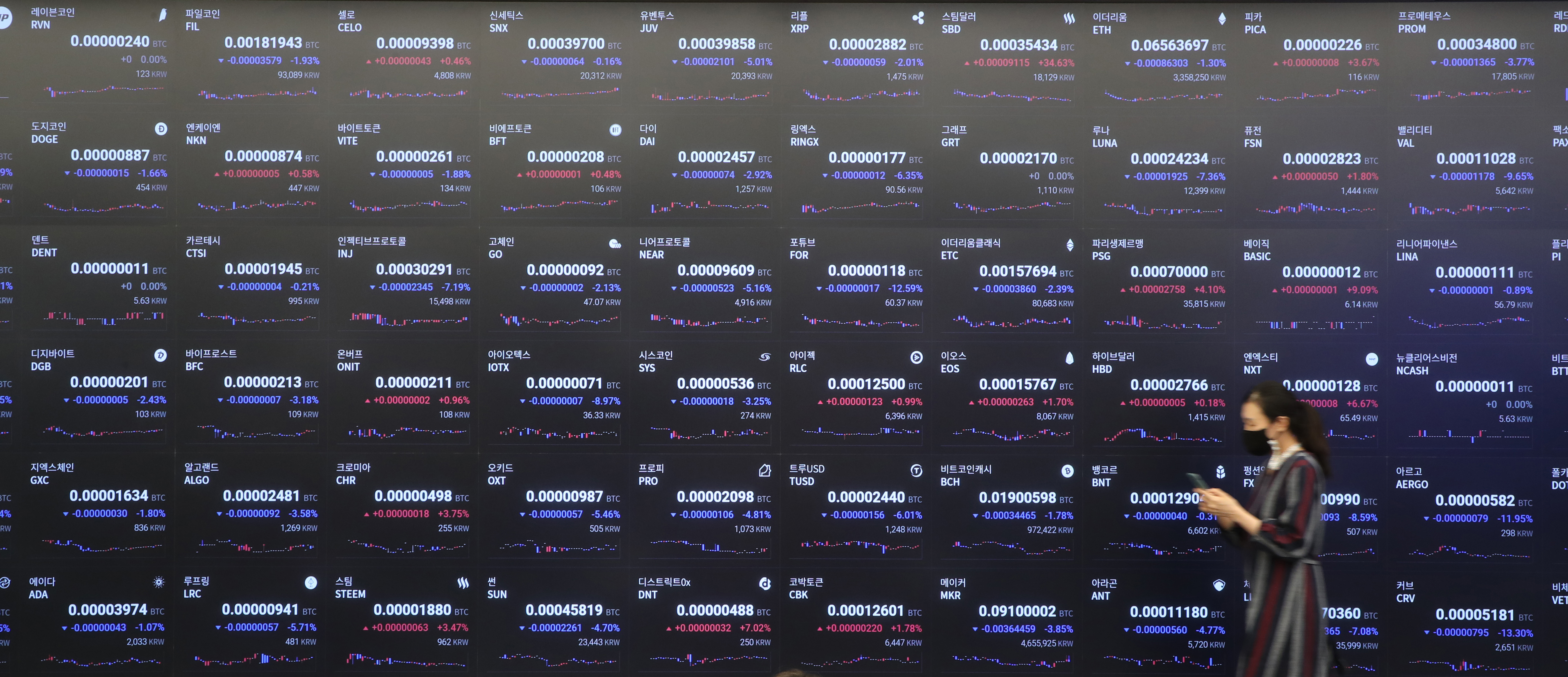 비트코인 37% 떨어질때… 김치코인 63% 폭락, 두달새 시총 100조 증발