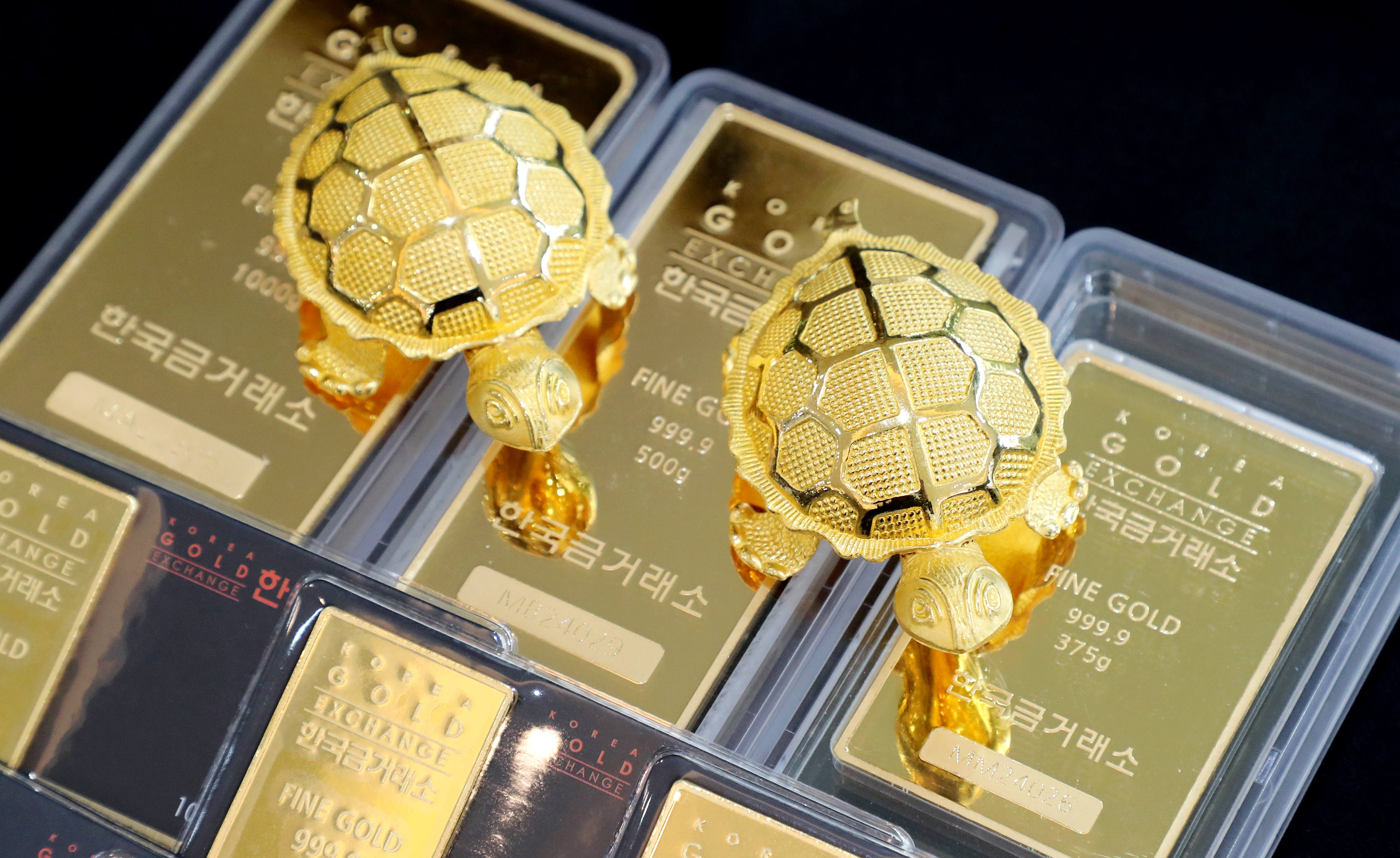 달러보다 금·코인, 자산의 대이동