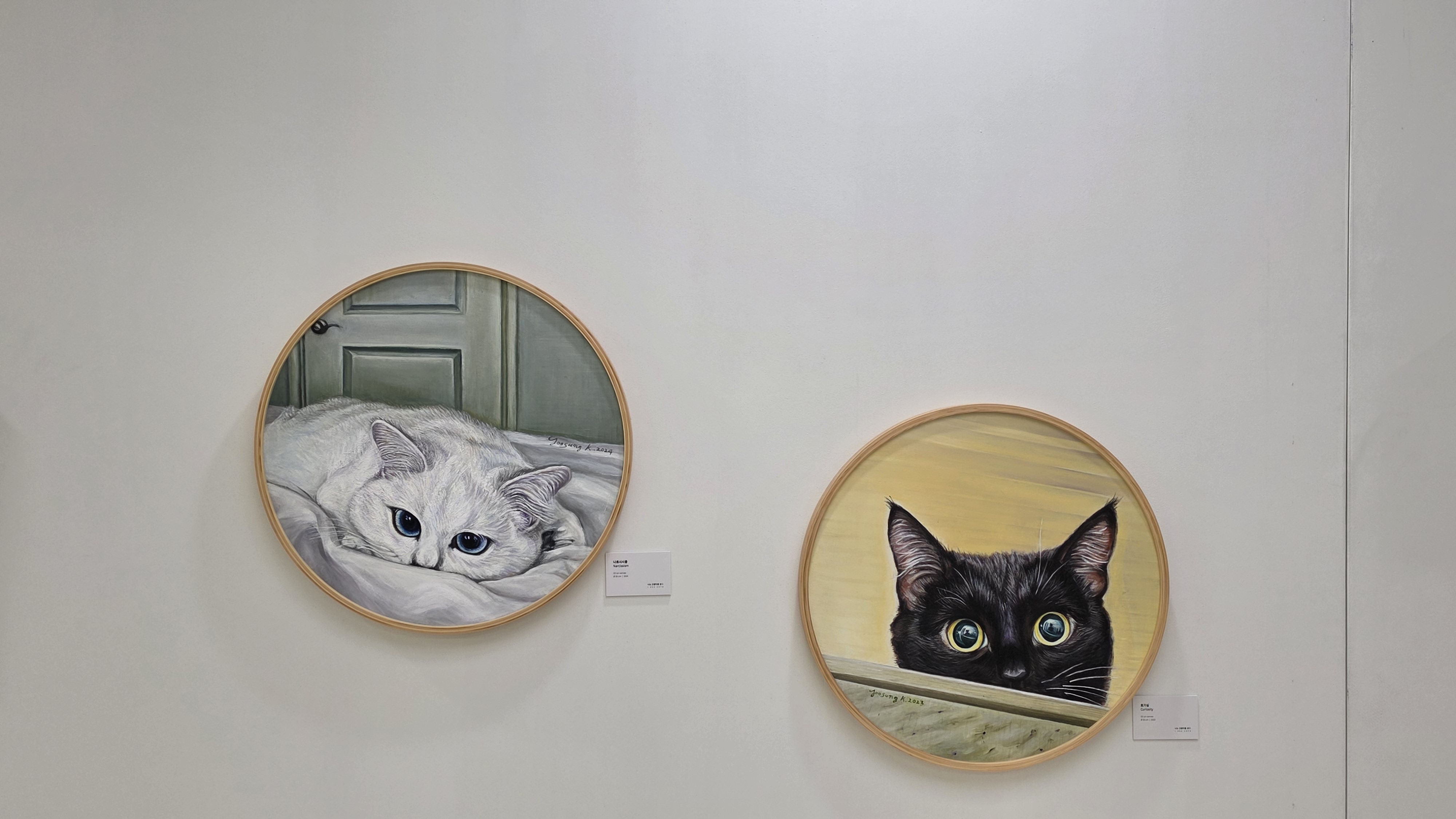 疲れた心に一息、病院ロビーに猫の絵