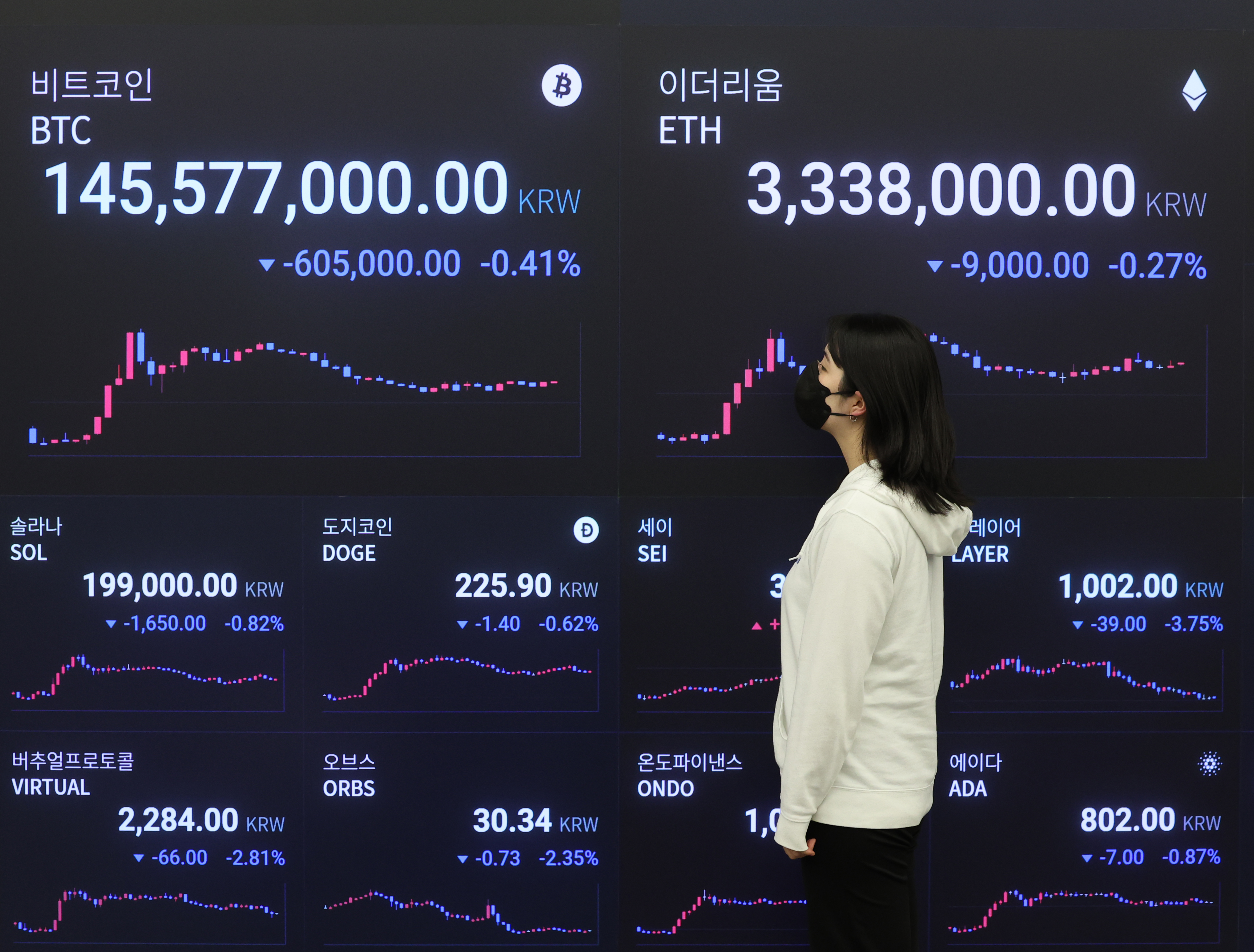 세금 체납 1만4000여 명 가상 자산으로 재산 은닉... 국세청 1461억원 추징