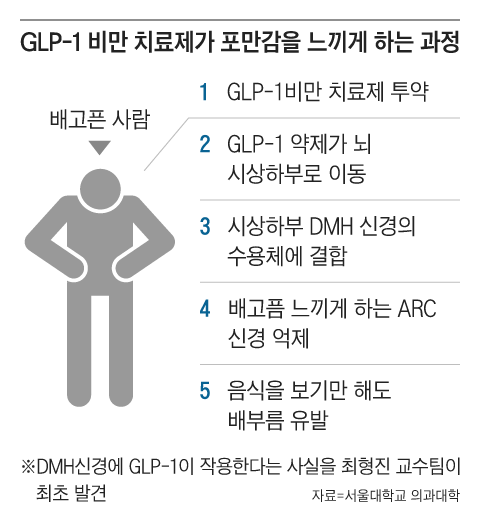 glp 1 원리 세계 뒤흔드는 위고비의 살빼는 원리, 한국연구팀이 밝혔다