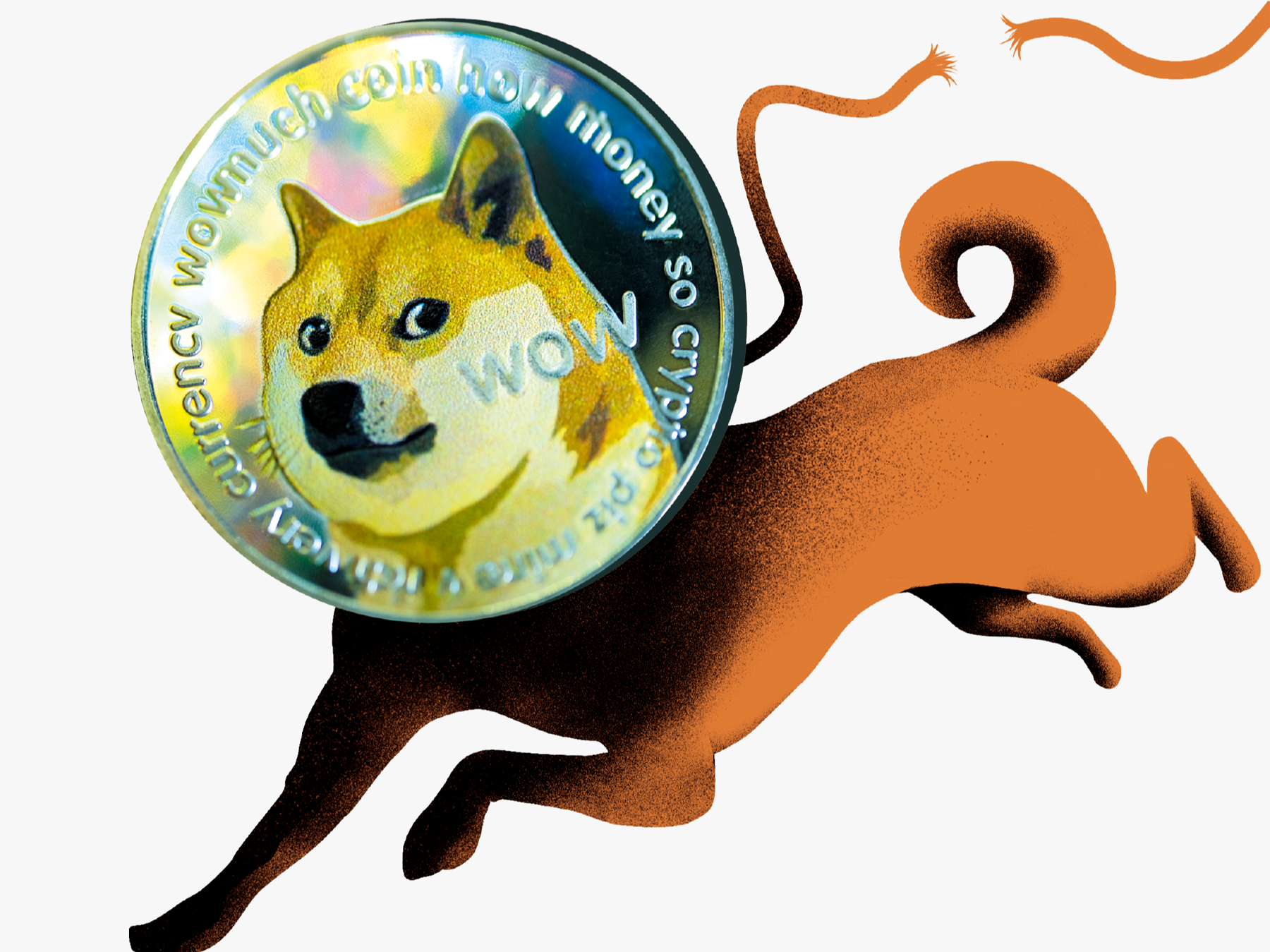 머스크 트윗도 안먹힌다… 도지코인, 고점 대비 75% 폭락