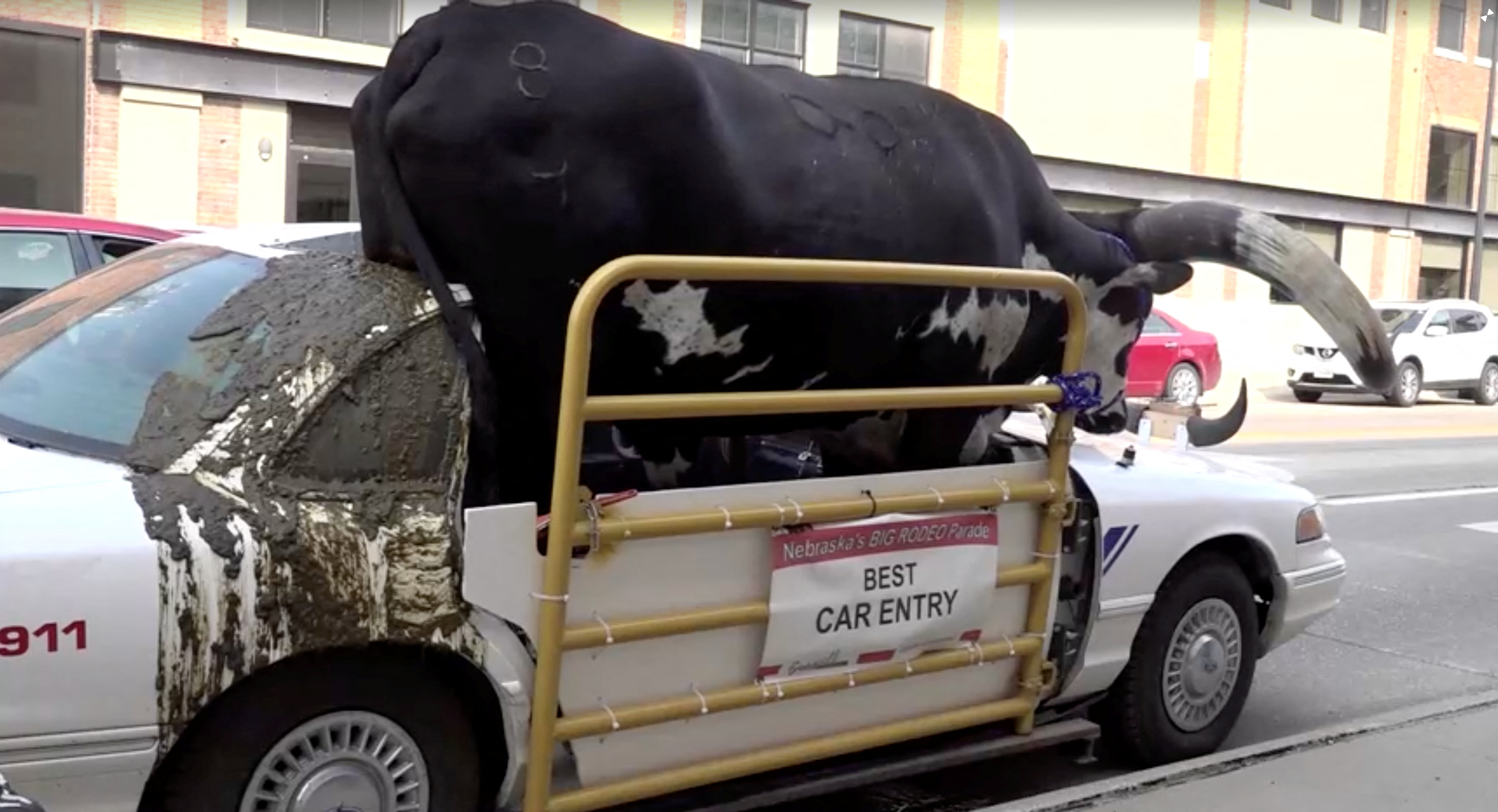 차에 똥칠해도… 1톤 긴뿔소 조수석 태우고 달리는 美남성, image size:5094x2762