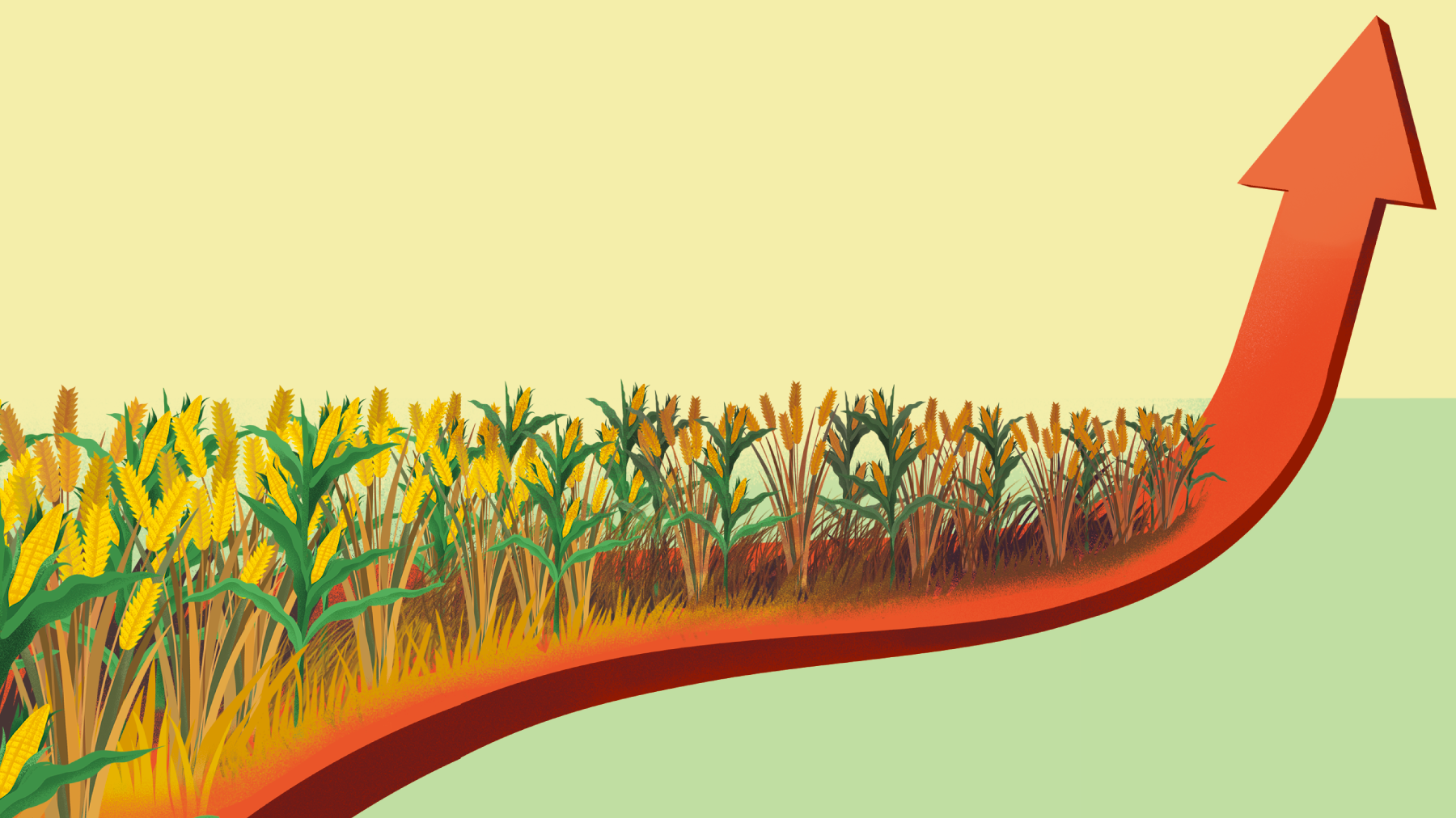 반년만에 주가 3배… 곡물값 뛰자 대박 친 종목은?