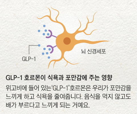 how to stop diarrhea on glp 1 Diarrhea and glp1 use. This is a common side effect typically seem towards  the beginning of your GLP1 journey. However, we can see it resurface with  dose increment., Reasons for diarrhea on GLP1 one:,