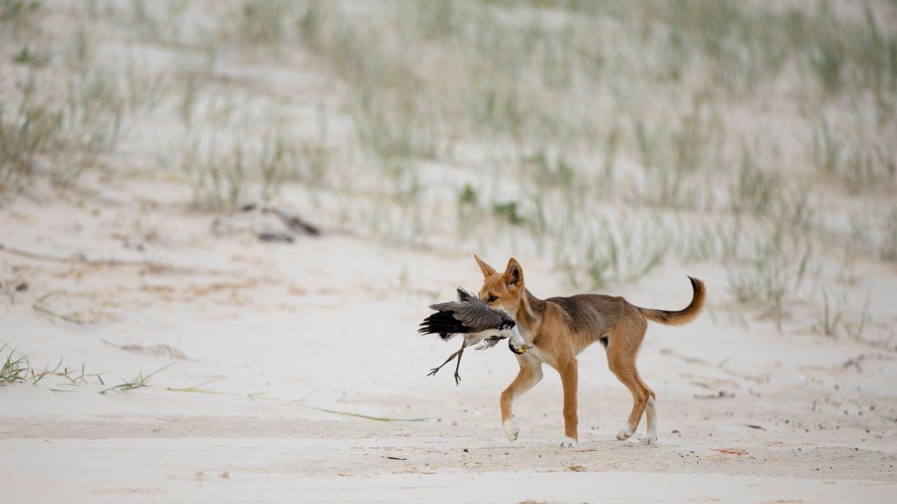 꼭! 이렇게 하세요] 봄철 야외에서 발생한 응급질환 대처법 5가지 : 네이버 블로그, image size:1296x729