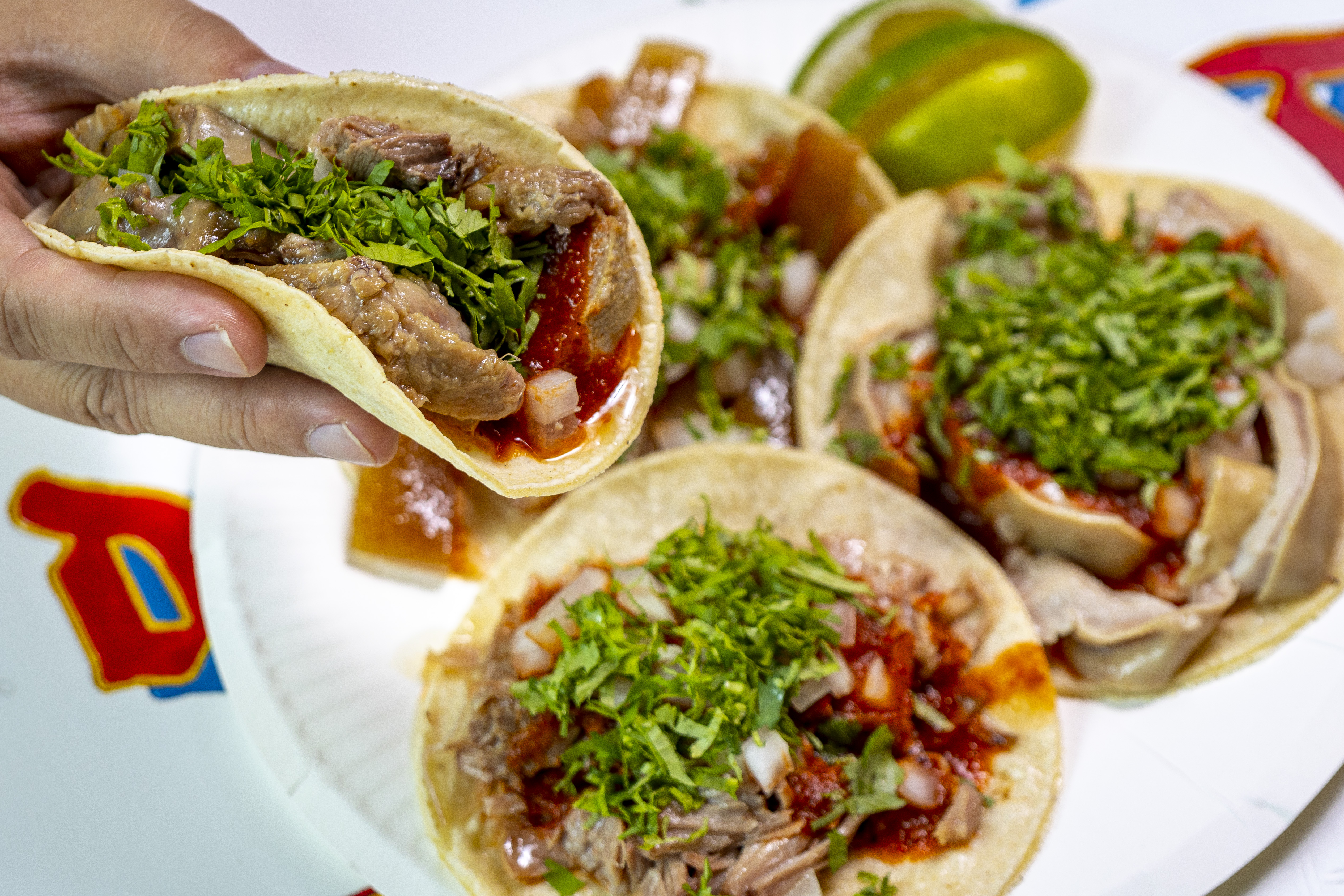 아무튼, 주말] 화끈하고 명쾌한 타코의 맛! 슬플 때 먹는 '맵고 짠 보약'입니다, image size:5060x3373