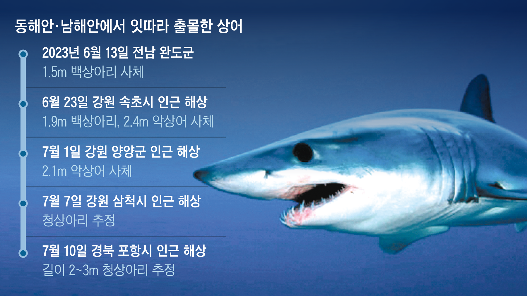 조스 쫓는 전기충격기까지 배치... 해수욕장들 '상어 경계령', image size:1800x1012