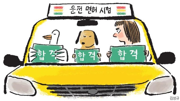 Why] 눈 감고도 딴다는 운전면허… 5分 동영상만 보고 기능시험'만점 합격' - 조선일보
