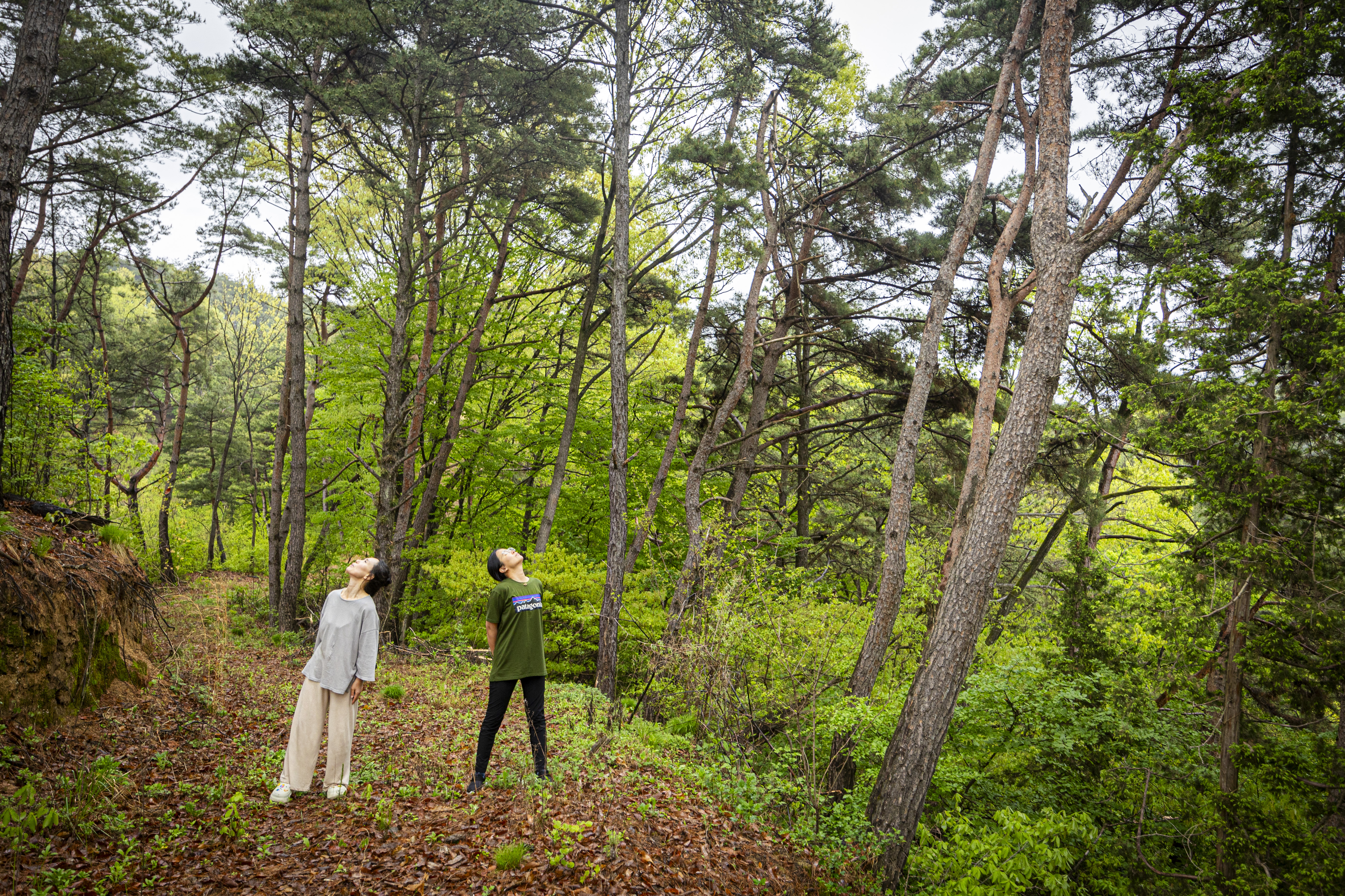 도끼 들고 으랏차차! 장작 쪼개다 허리 부러질라… 자연인 체험해보니, image size:5472x3648