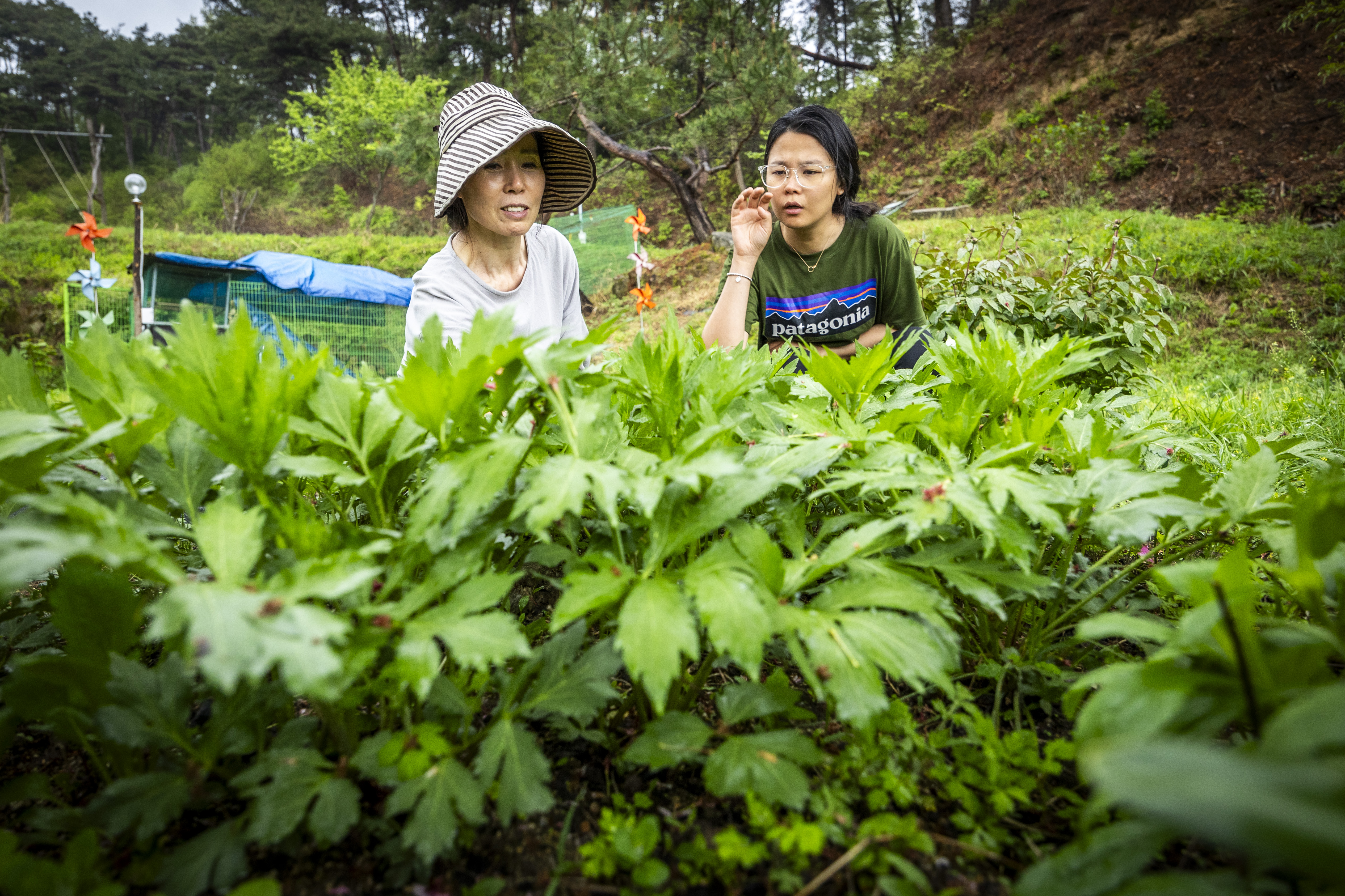 도끼 들고 으랏차차! 장작 쪼개다 허리 부러질라… 자연인 체험해보니, image size:5060x3373