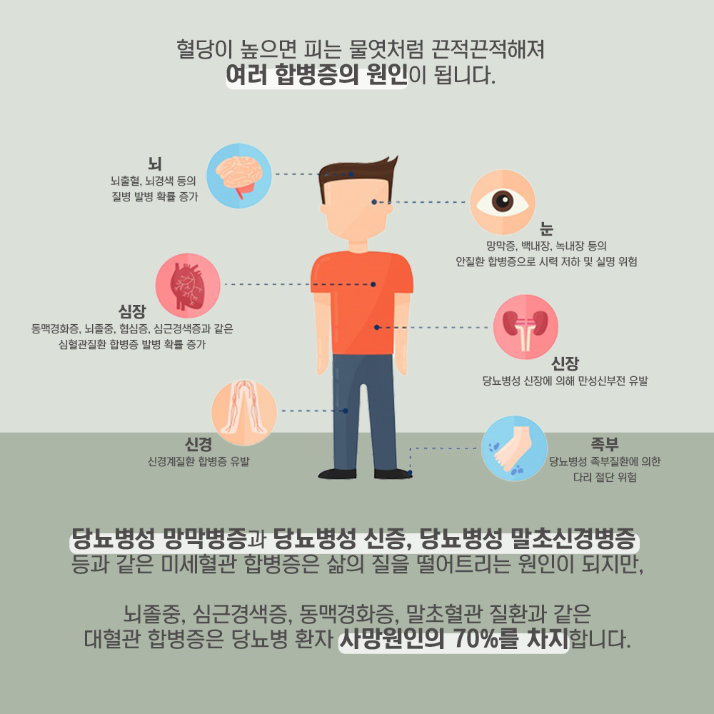 국내 당뇨환자 500만명 시대, 당뇨관리를 위한 당뇨영양식을 찾는 이유 - 조선일보