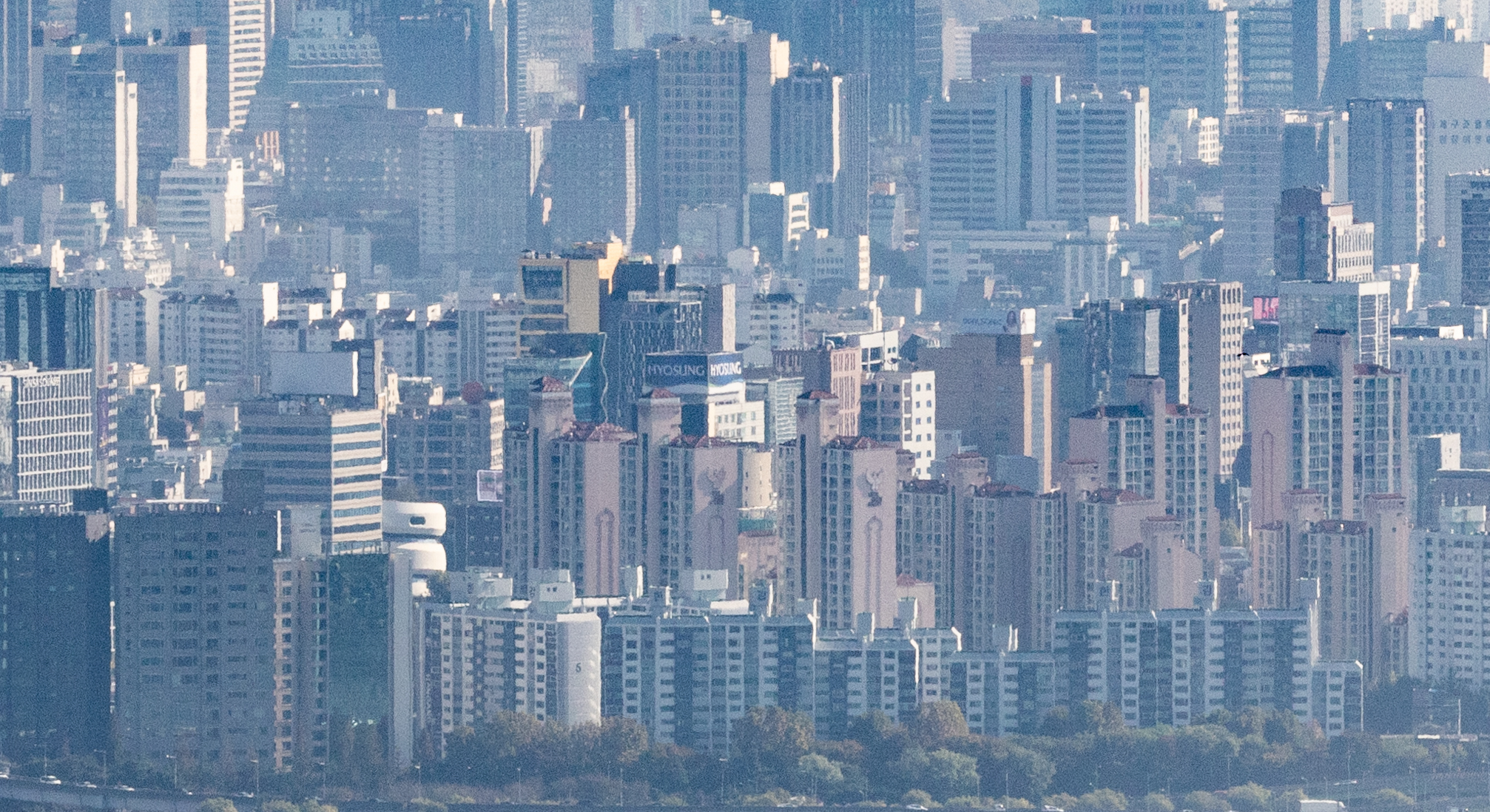 비트코인 뛰면 강남 아파트도 비싸진다” 부동산 교수가 말하는 이유