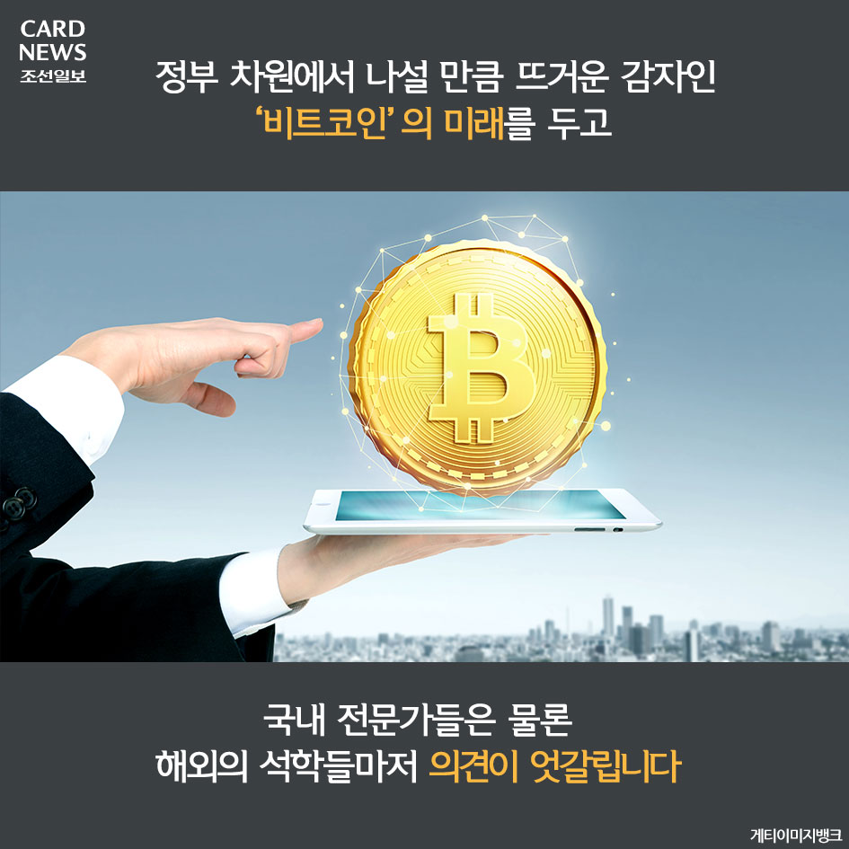 카드뉴스] 살까 말까 고민중이십니까? 대가들도 갈팡질팡하는 비트코인 어디까지 오를 것인가