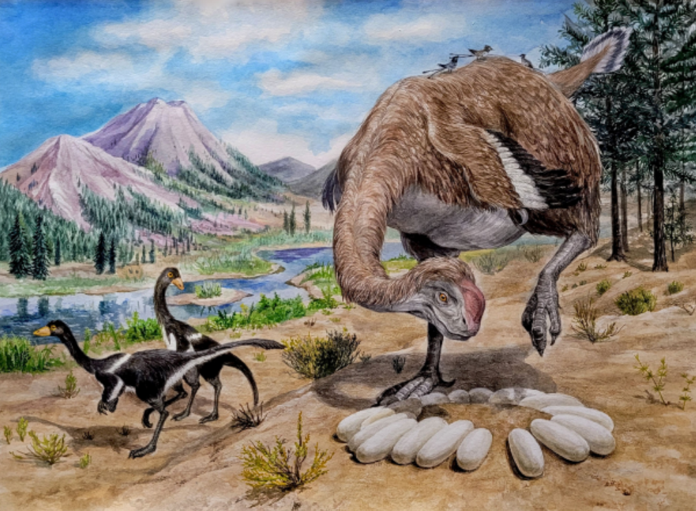 釜山の恐竜卵で大型オヴィラプトロサウルス類の早期生息確認 - ChosunBiz