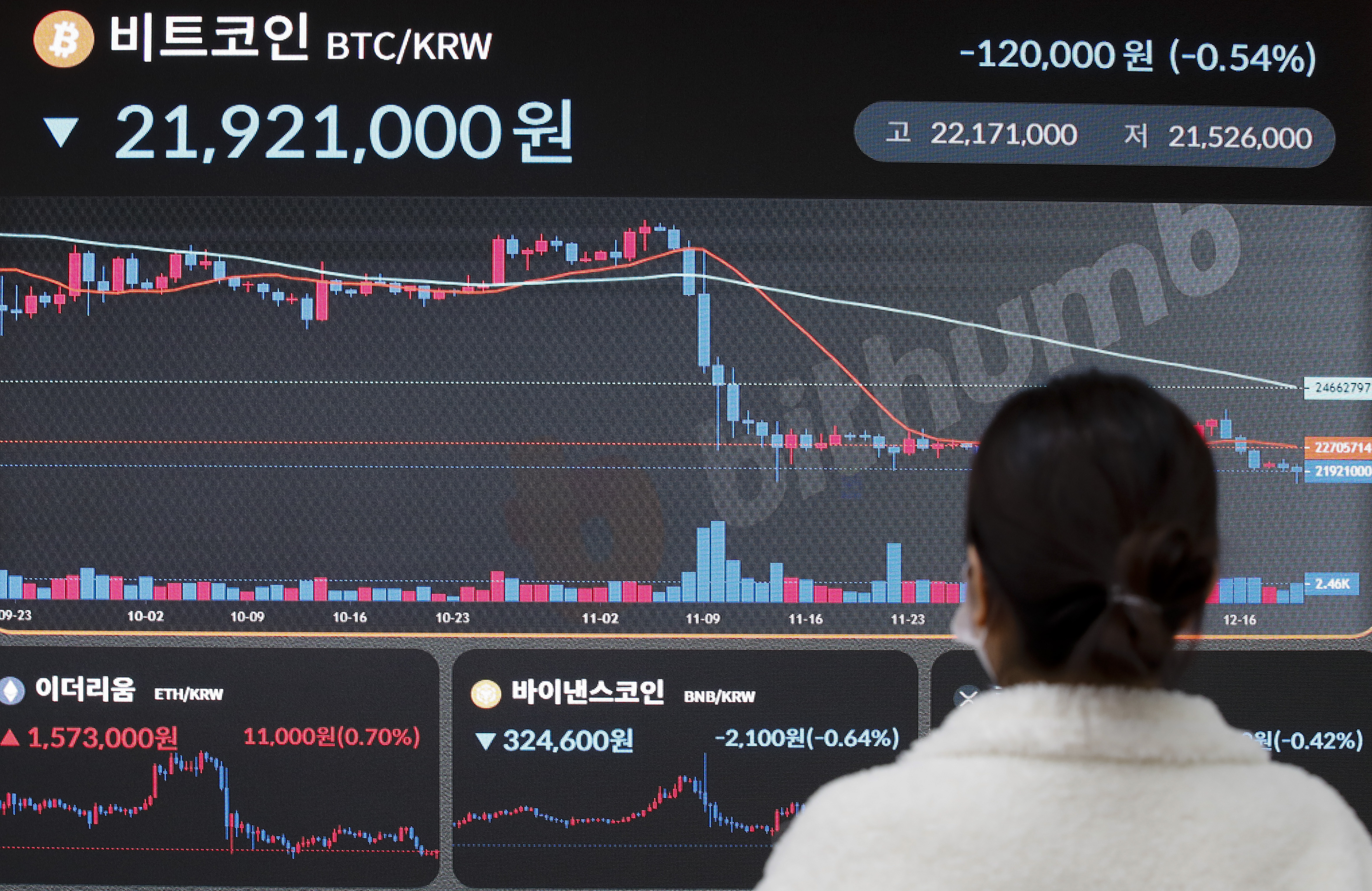 올해 가상자산 가격 전망은… “반등 가능하나 미미한 수준” - 조선비즈