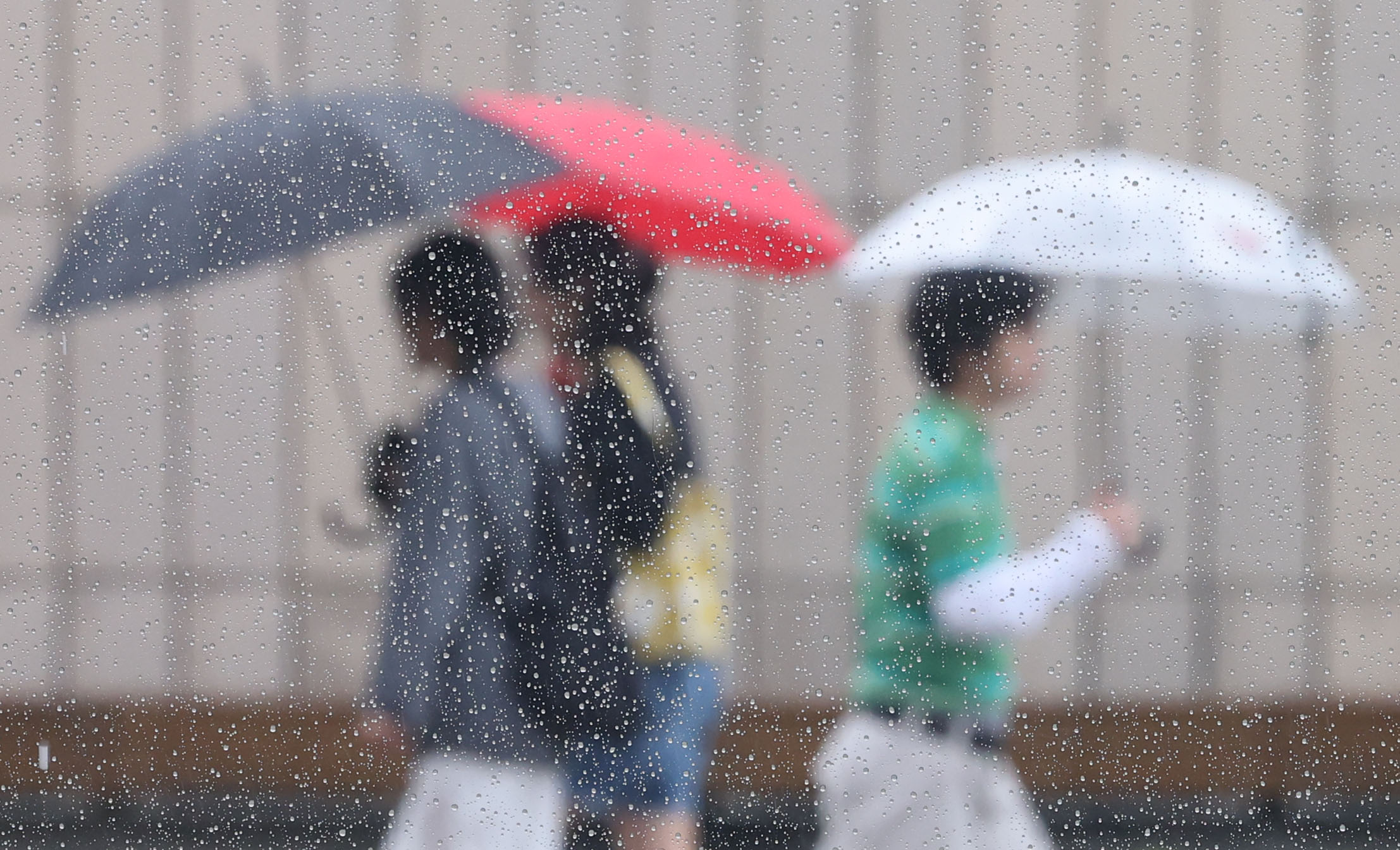 21日夏至全国曇り一部雨最高30度 - ChosunBiz