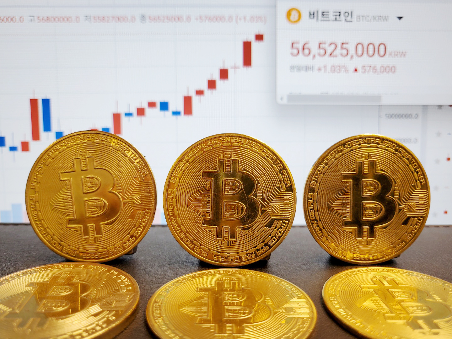 세계 두 번째로… 중앙아프리카공화국, 비트코인 법정통화 채택 - 조선비즈