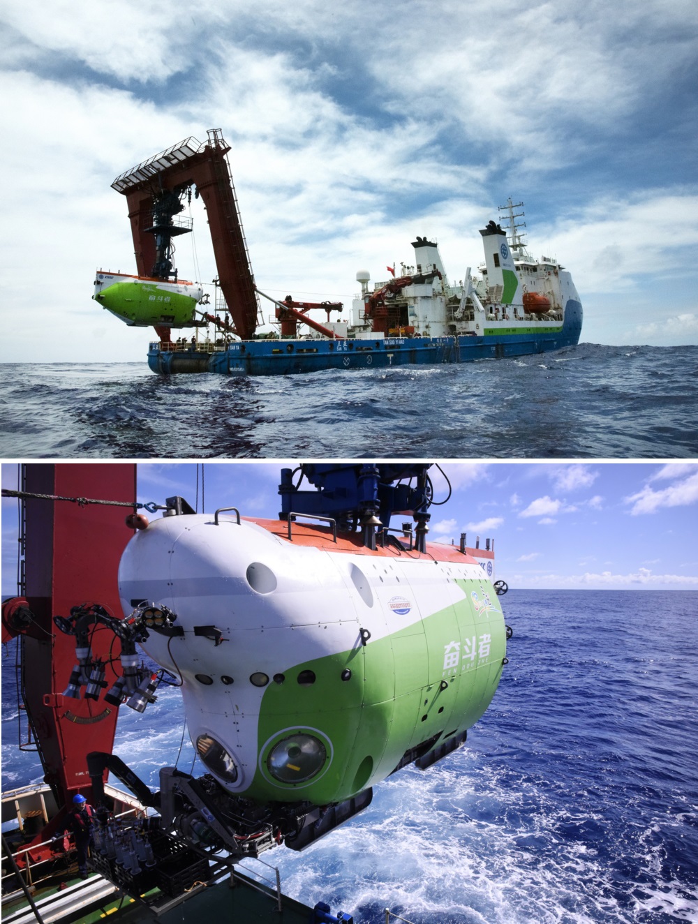 水深7000mで最大級クジラ墓場発見 炭素隔離示す - ChosunBiz