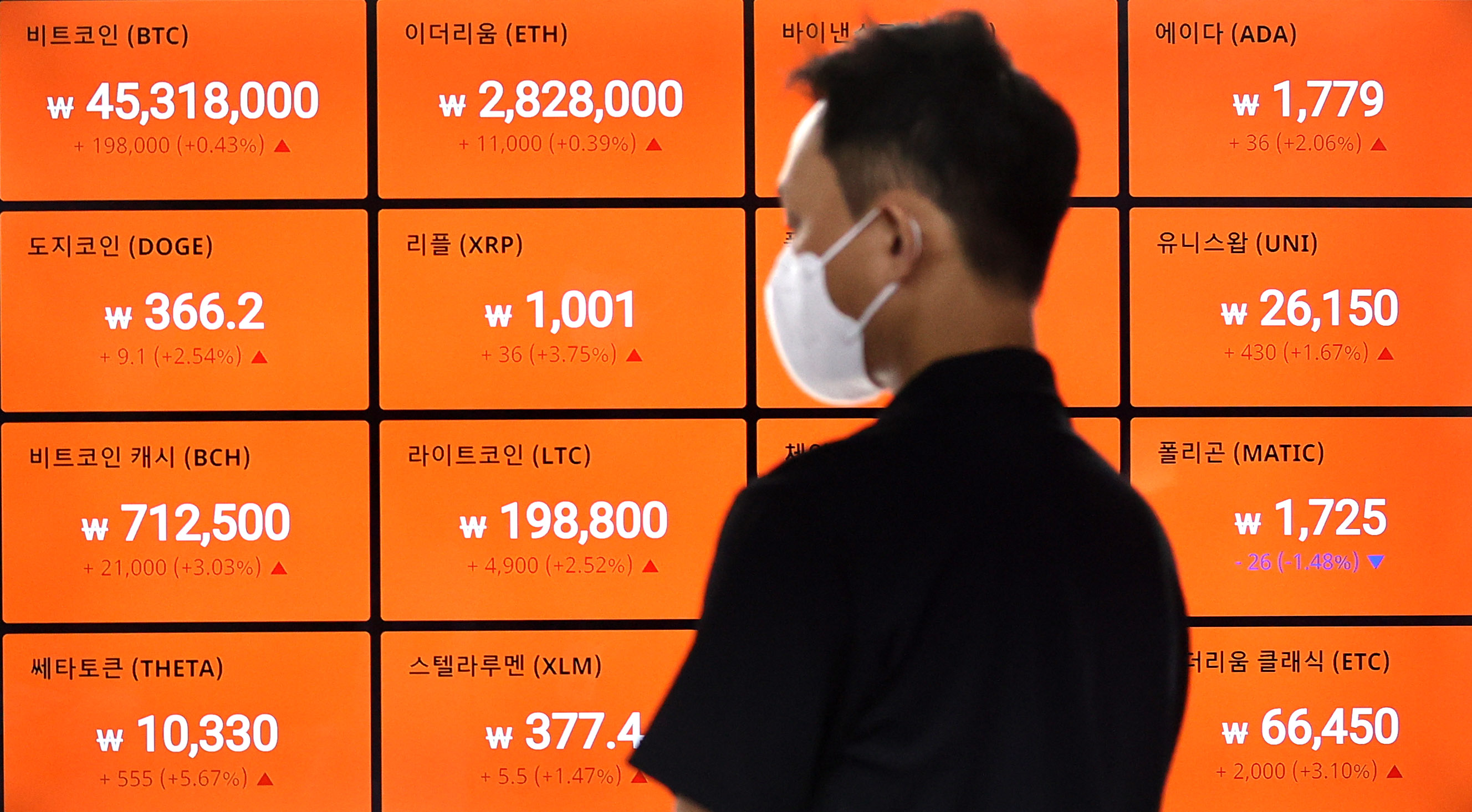 암호화폐 시장 출렁이는데…잡코인으로 몰려드는 투자자들 - 조선비즈