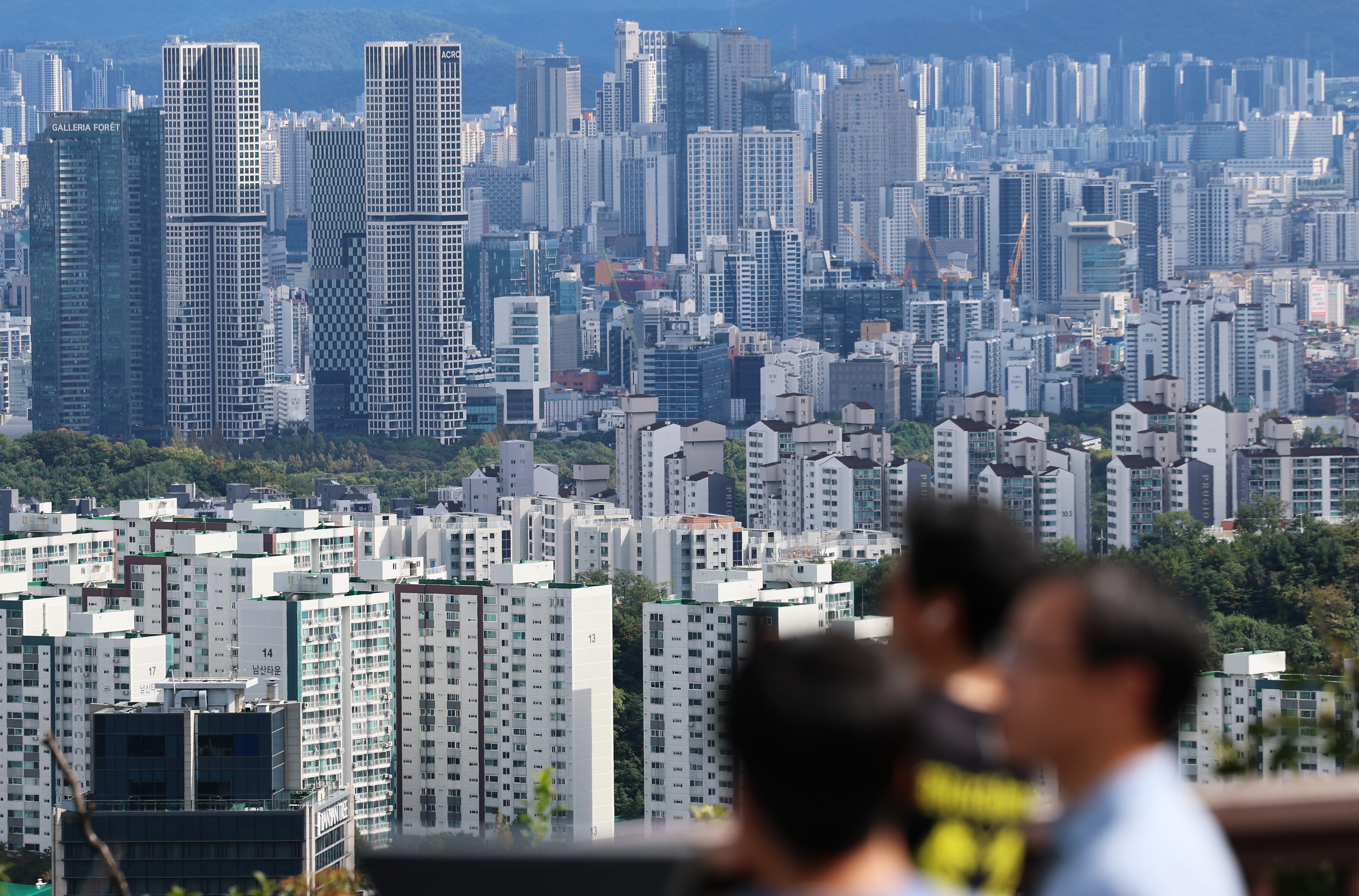 작년 36만명이 집 샀다… 여성 주택 소유 증가가 남성 앞서 - 조선비즈