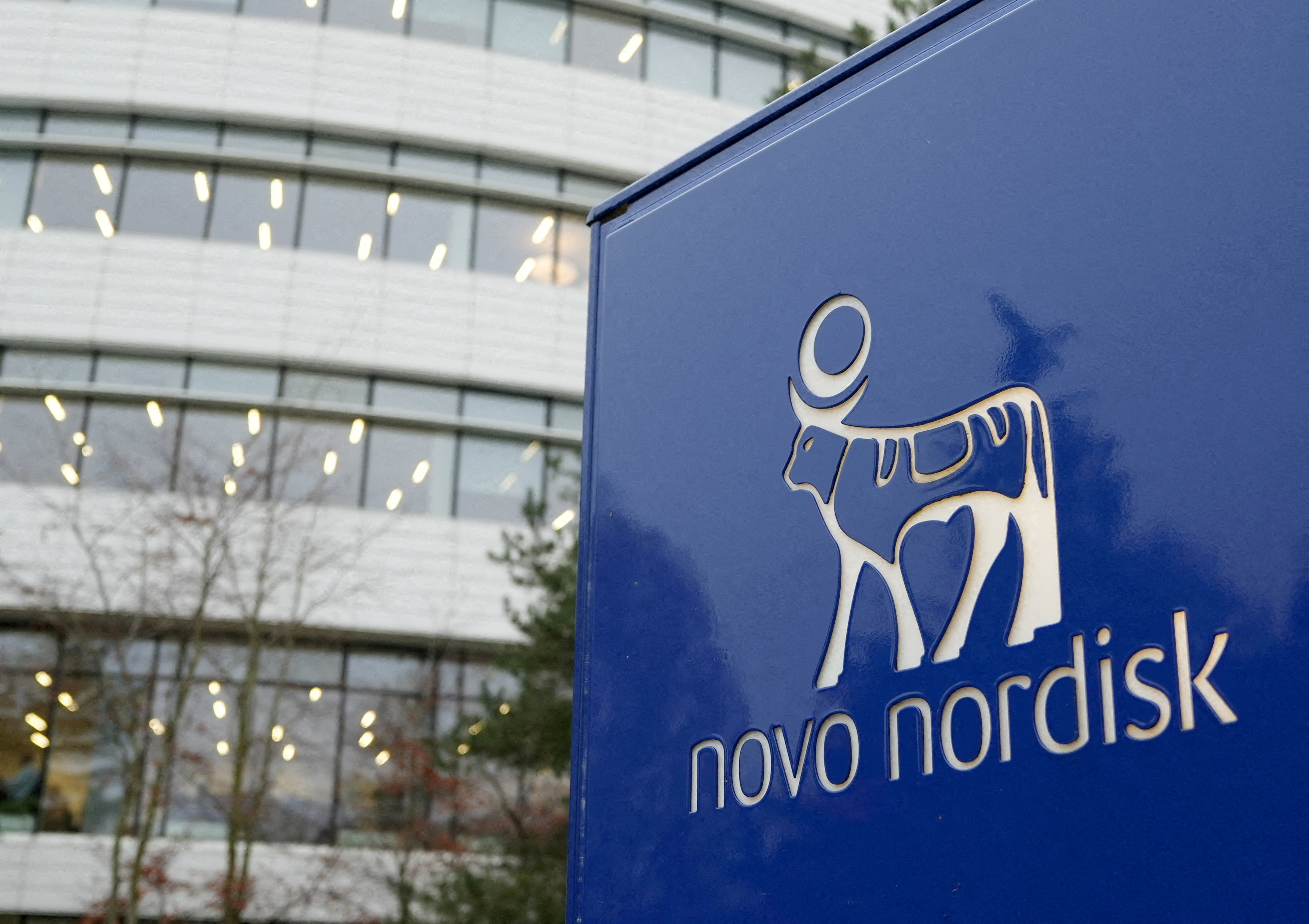ノボノルディスク業績減見通しで株急落 - ChosunBiz