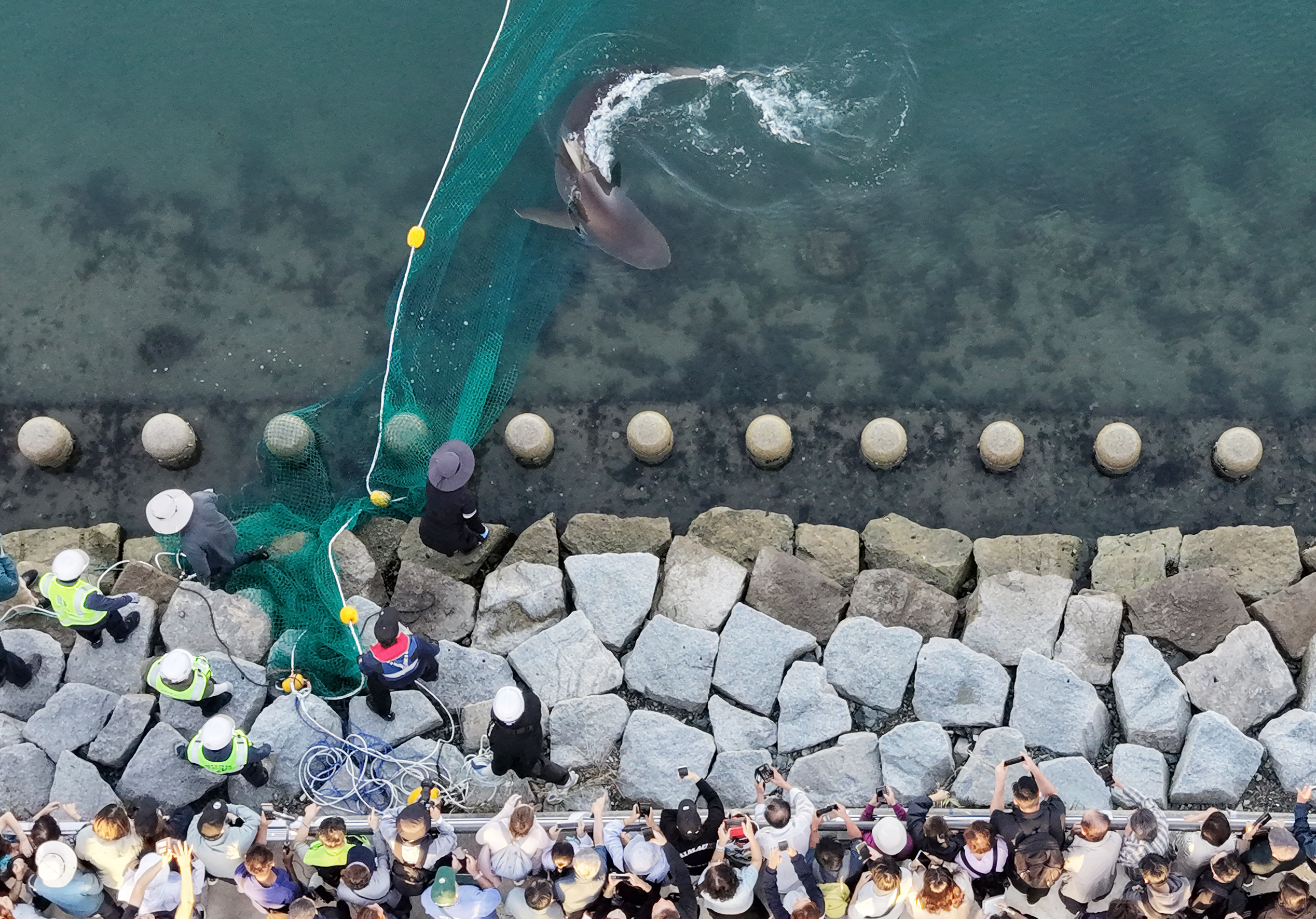 釜山親水公園のサメ観光熱高まる 累計来場者135万人 - ChosunBiz