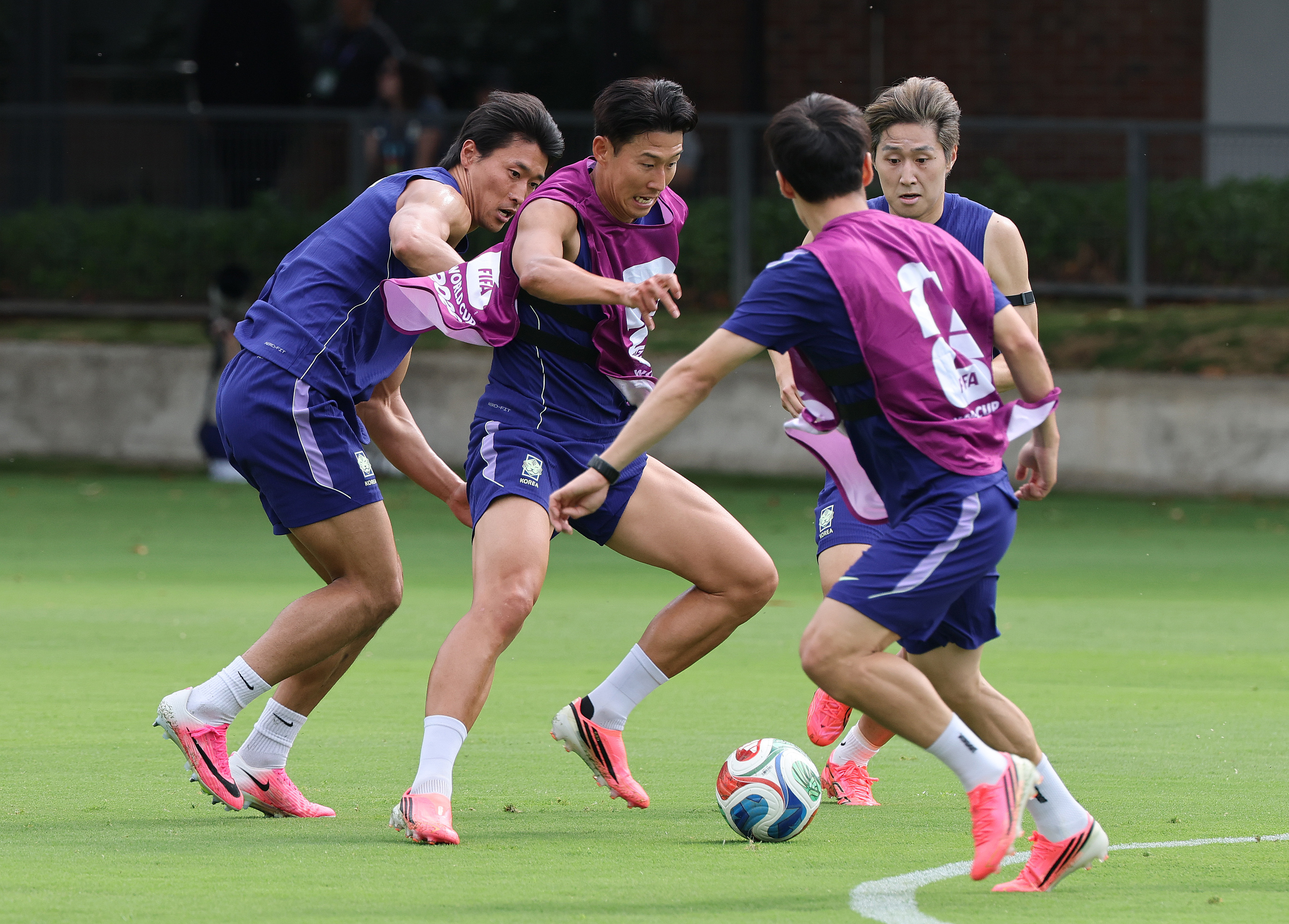 韓国3-4-3でW杯初戦挑む ソン・フンミン1トップ - ChosunBiz