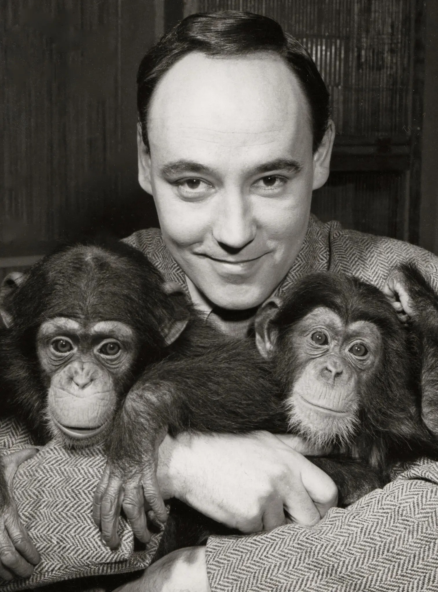 動物学者デズモンド・モリス死去 『裸のサル』2000万部超 - ChosunBiz