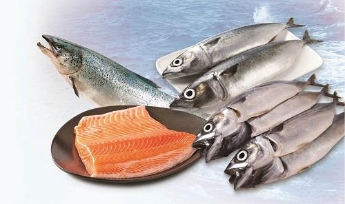 롯데마트 '수산물 대전'…생연어·고등어 2000원대 - 조선비즈