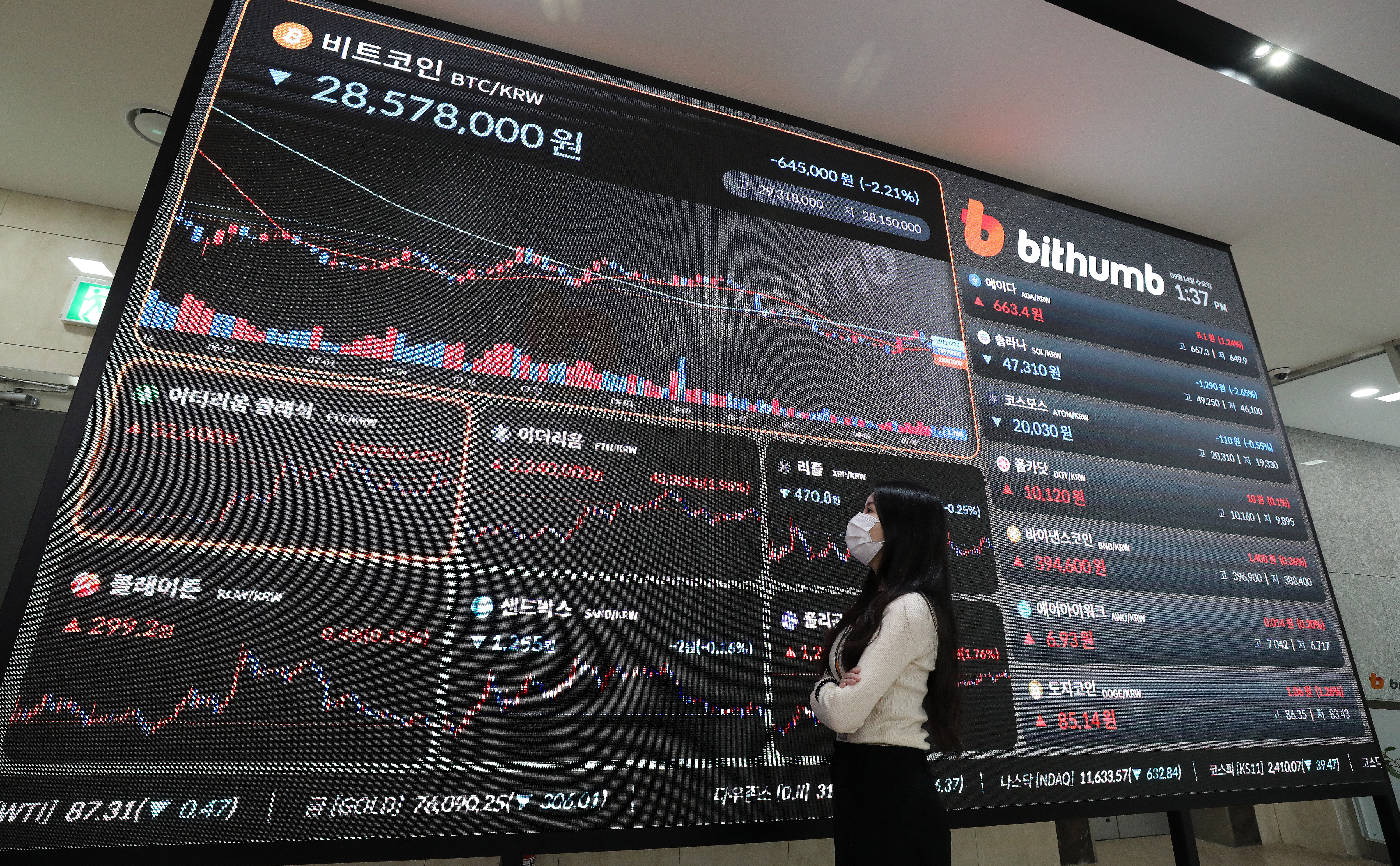 4급 이상 공직자 가상화폐 신고해야…1급 이상은 형성과정·거래내역도 - 조선비즈