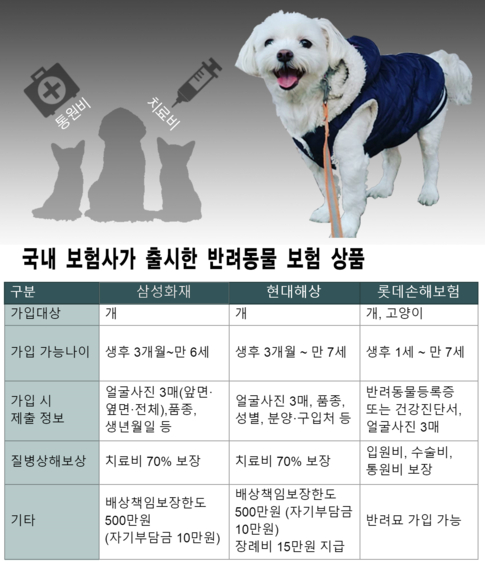 메리츠펫보험 페퍼민트, 반려견 슬개골 탈구 보장 개보험