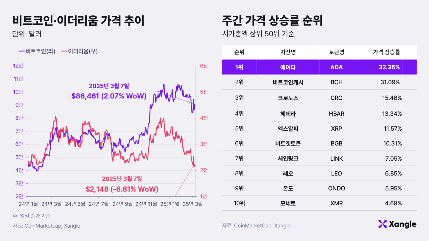 주간코인시황] 관세 압박·지정학 우려에 하락하는 가상자산 - 조선비즈