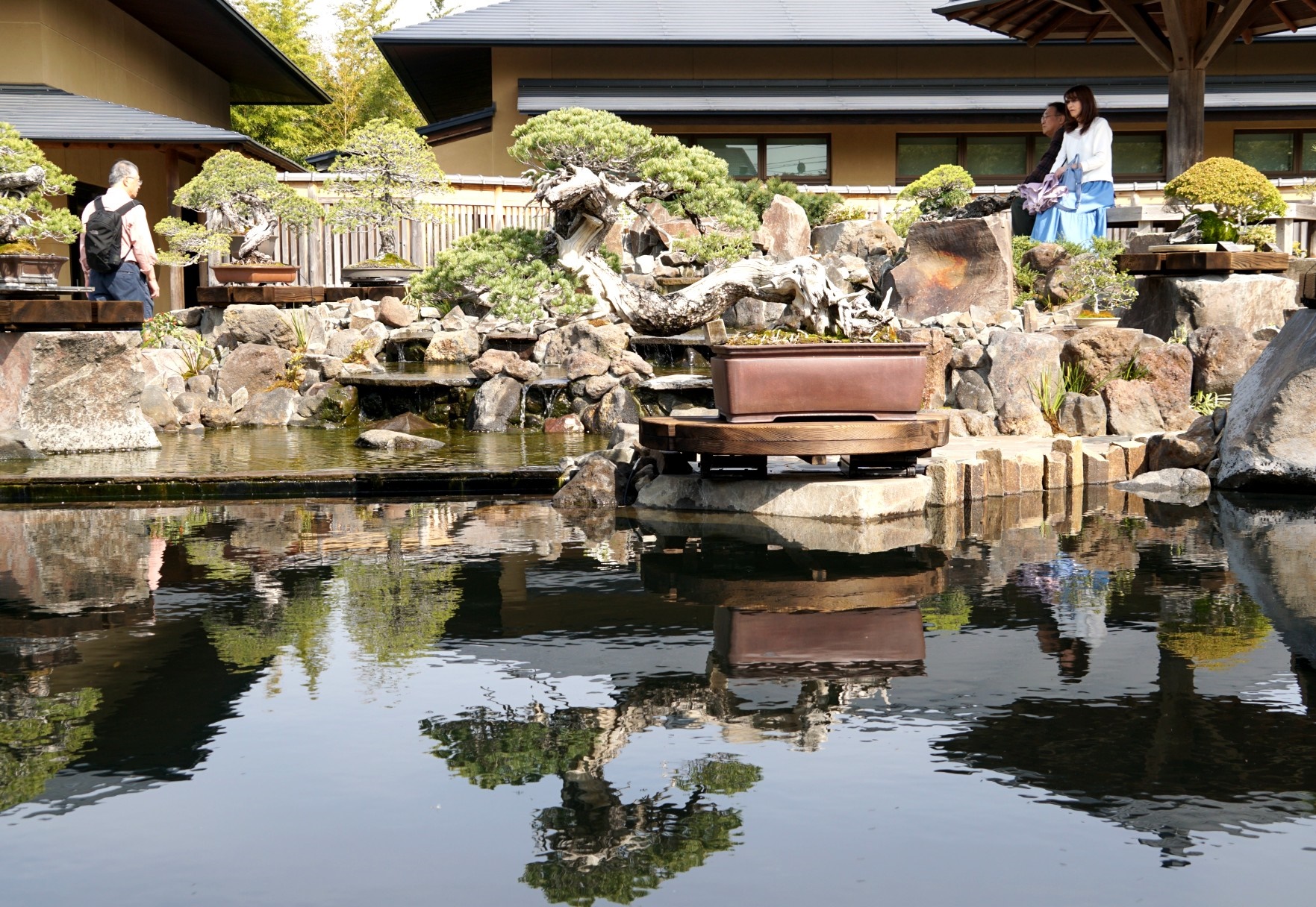 魅せる美術館」にリニューアル 「鏡面池」に昇る巨龍を表現 さいたま市