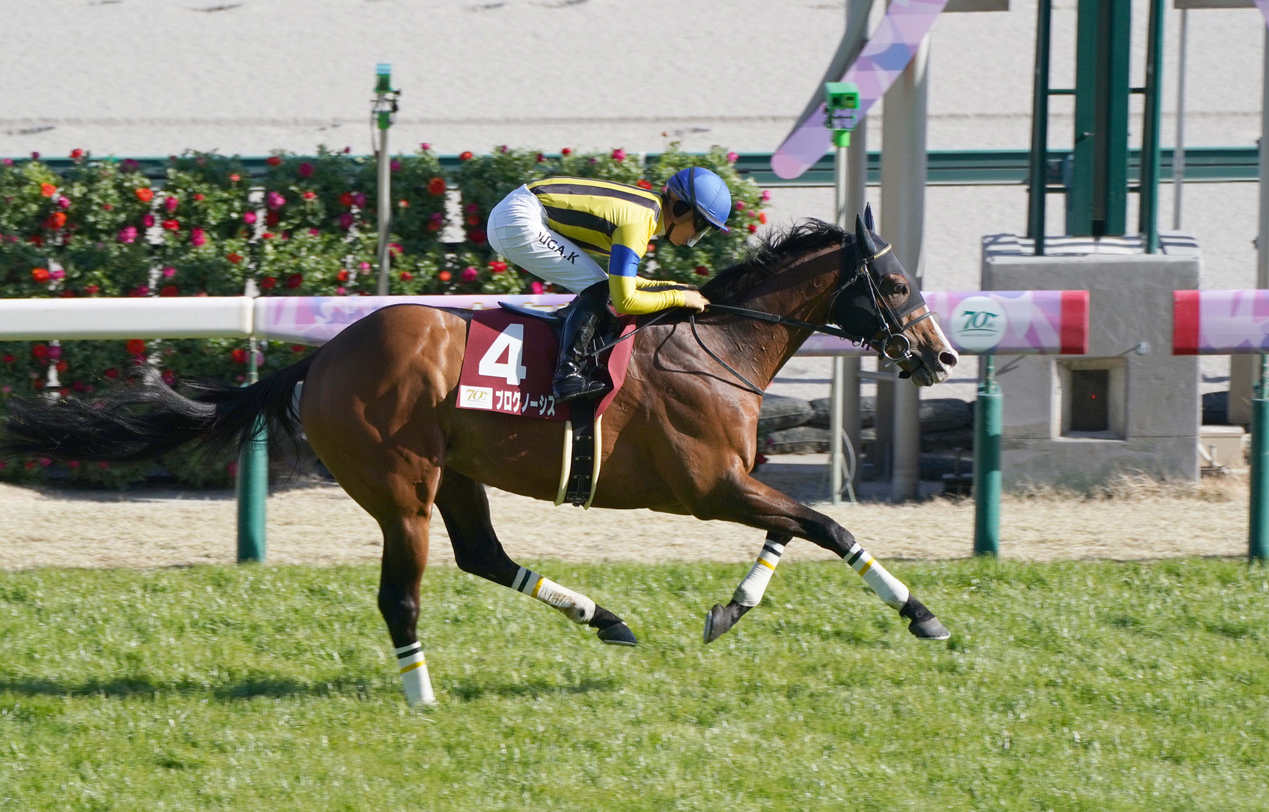 6歳馬、疲れが抜けにくくなる「ベテラン」の域 井崎脩五郎のおもしろ
