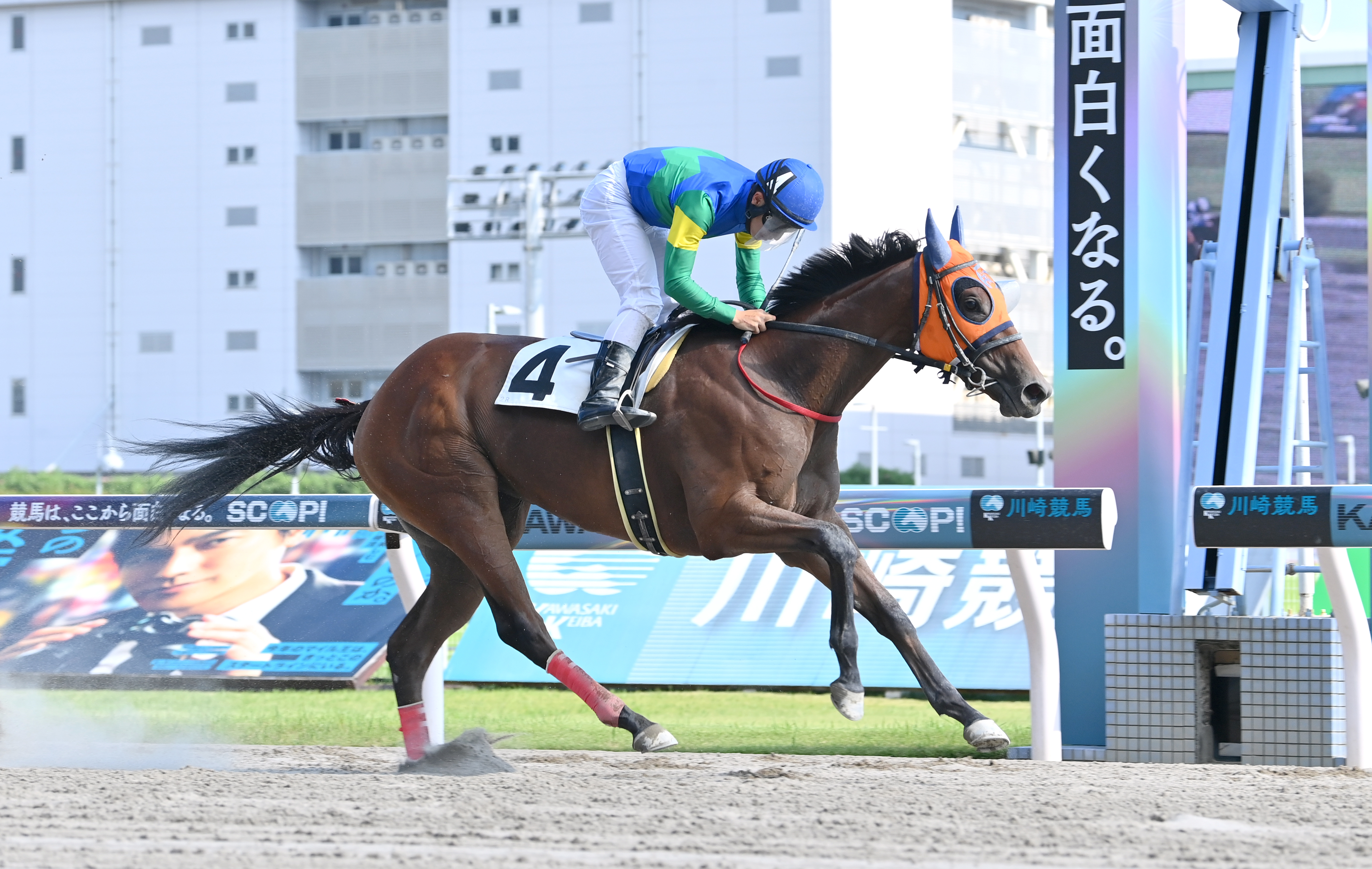 片目のサラブレッド・ドコフクカゼが初勝利！！ 左目が見えないハンデ