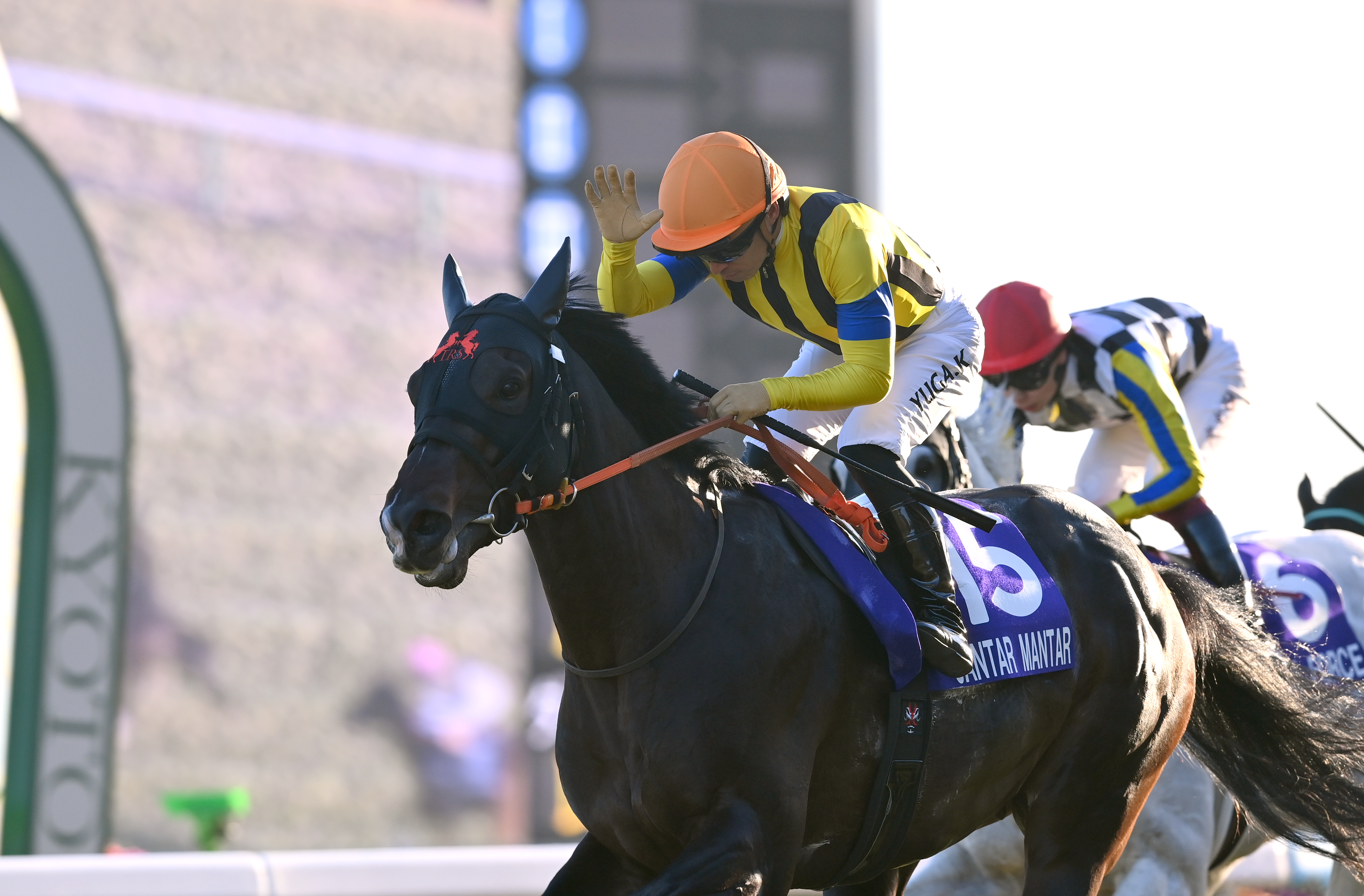 第11回マイルチャンピオンS GI ノースフライト 単勝馬券 JRA】1994年 第11回マイルCS サクラバクシンオー 単勝馬券 - メルカリ