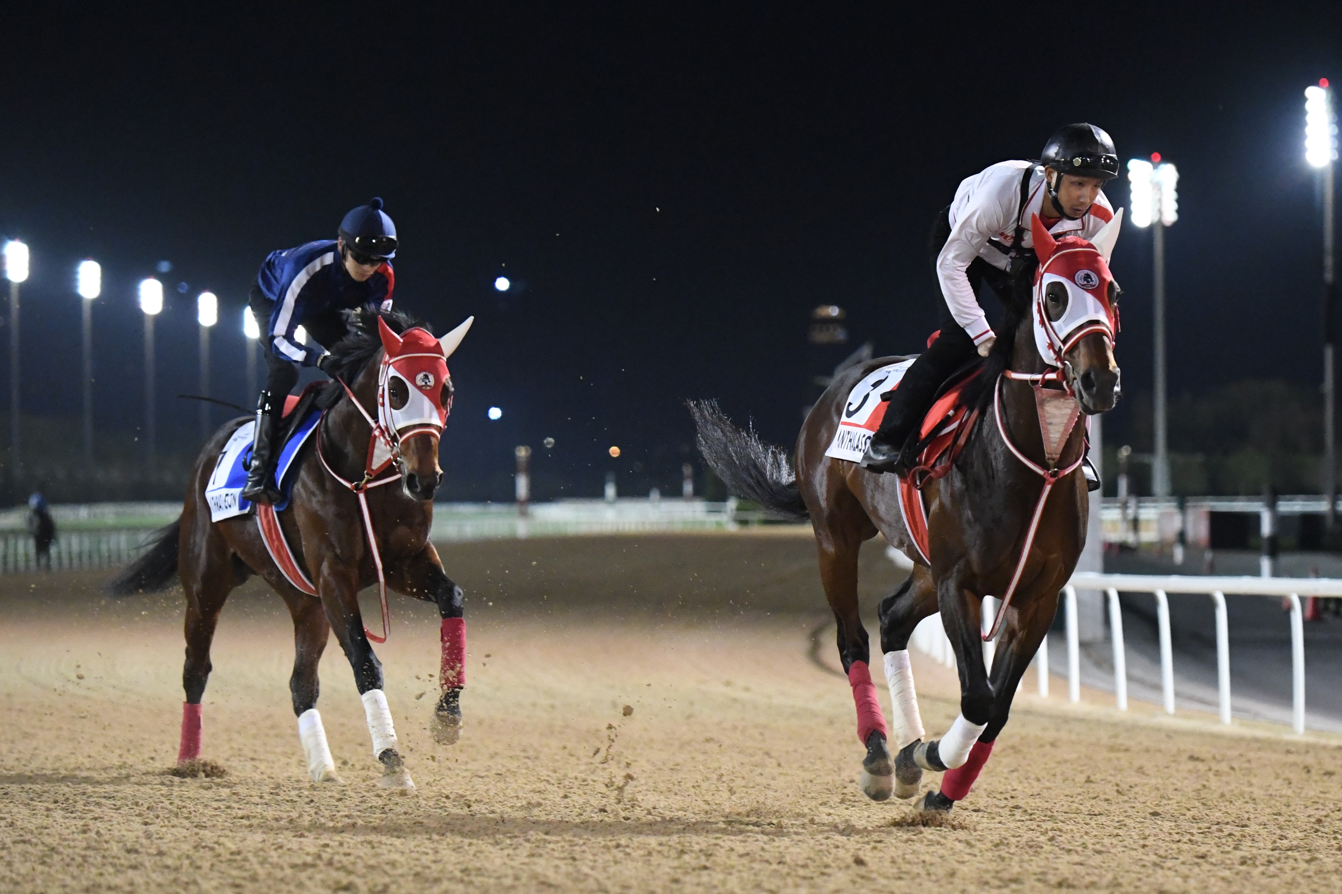 パンサラッサ 矢作厩舎 ドバイターフブルゾン激レア！ 競馬ブルゾン