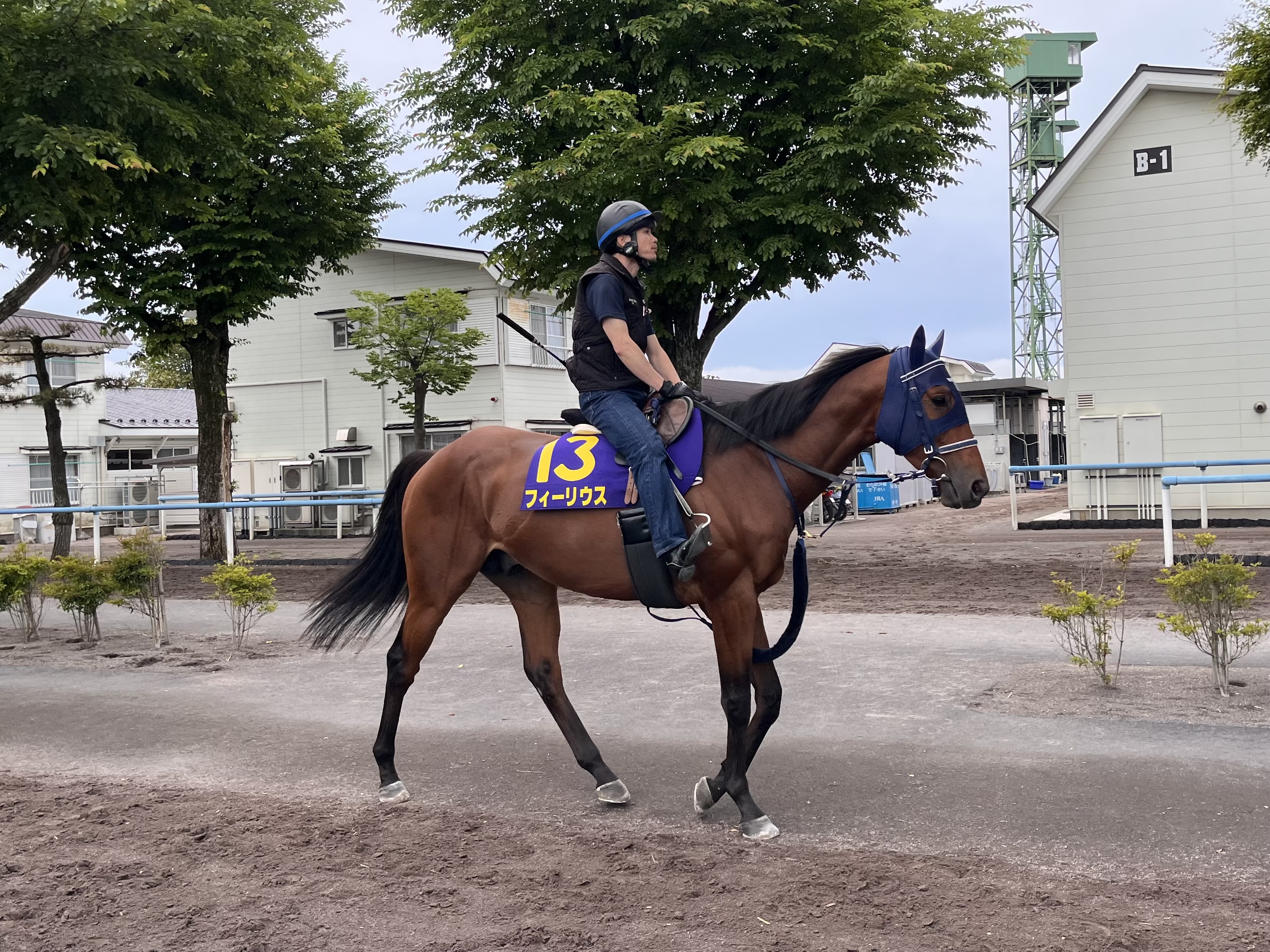競馬　プリッツ 3歳以上次走報】フィーリウスは新潟記念を視野 - サンスポZBAT!