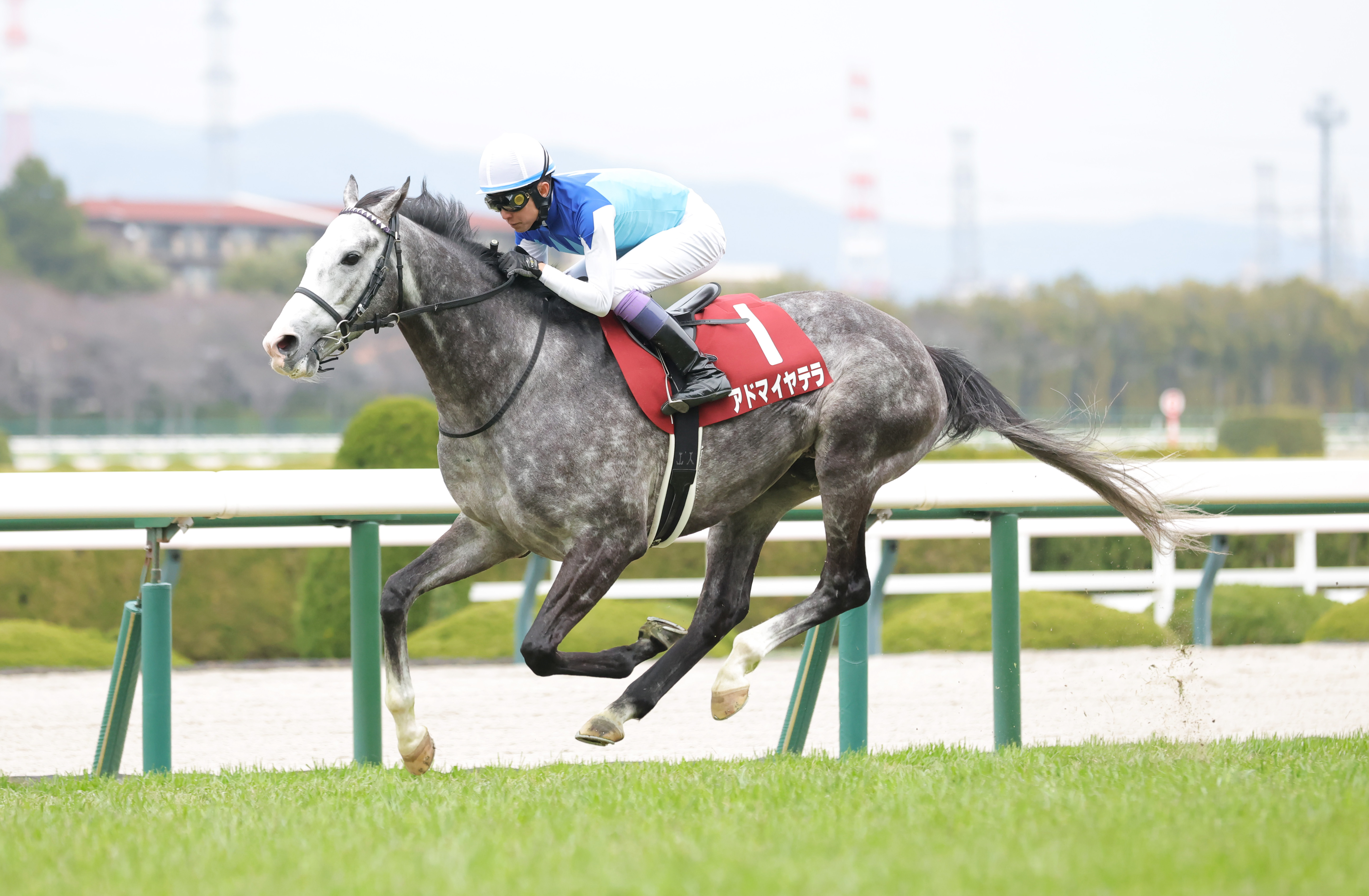 阪神大賞典】アドマイヤテラが3分2秒0のレコードタイムで圧勝