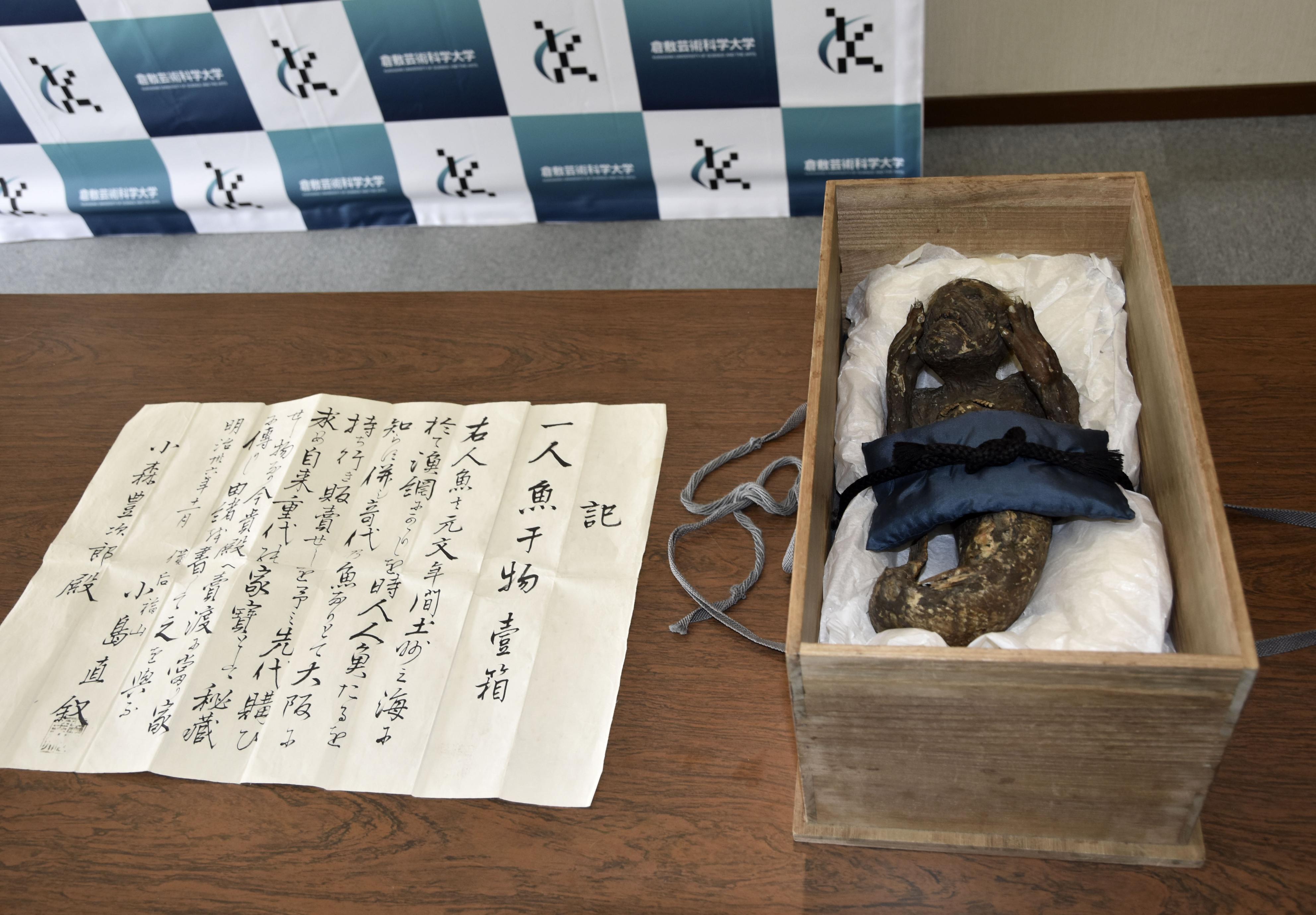 寺に伝承「人魚のミイラ」は造形物だった 倉敷芸科大が分析 - サンスポ