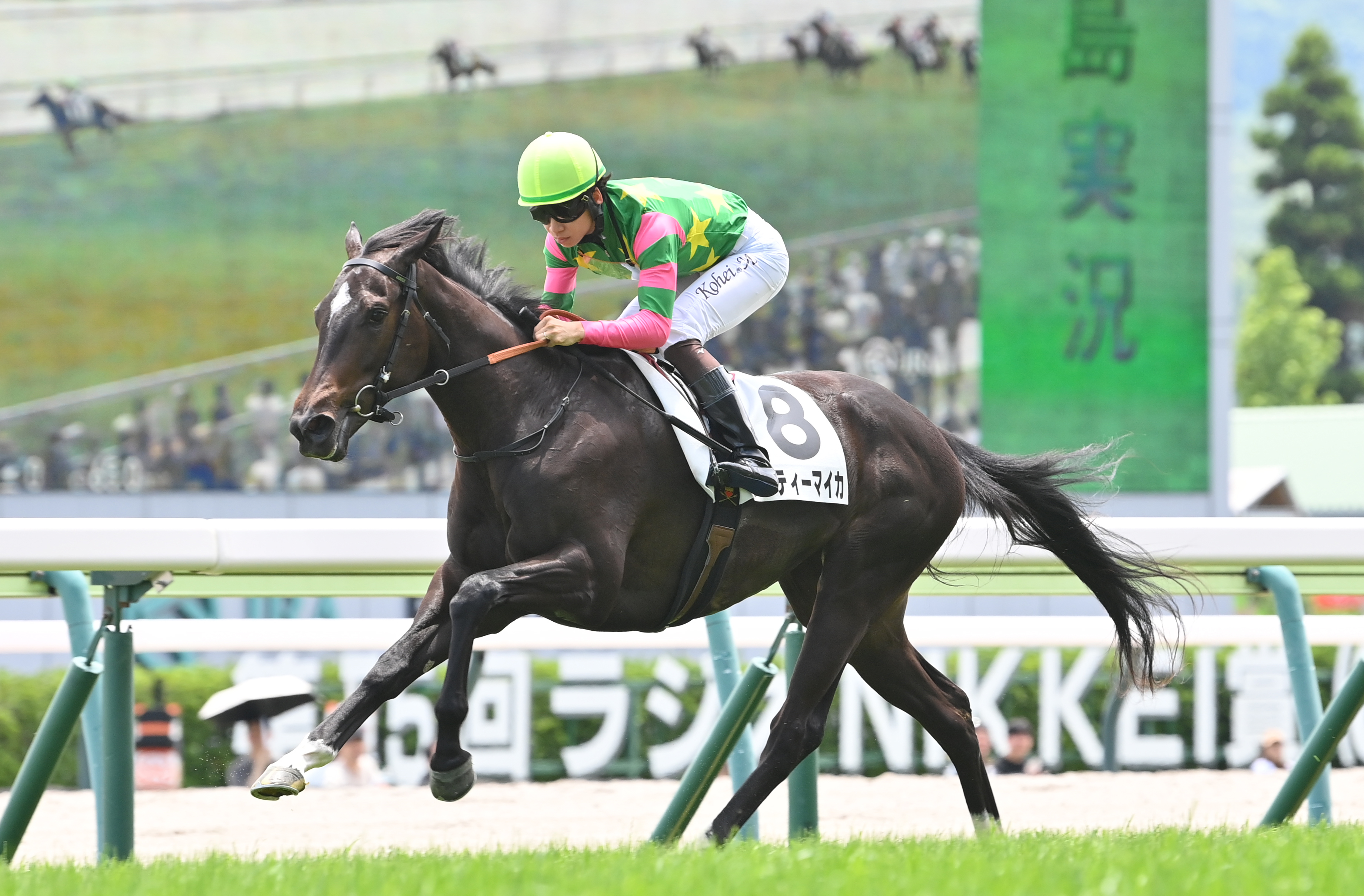 2歳新馬・福島4R】ジーティーマイカ突き抜けて7馬身差圧勝 松山弘平