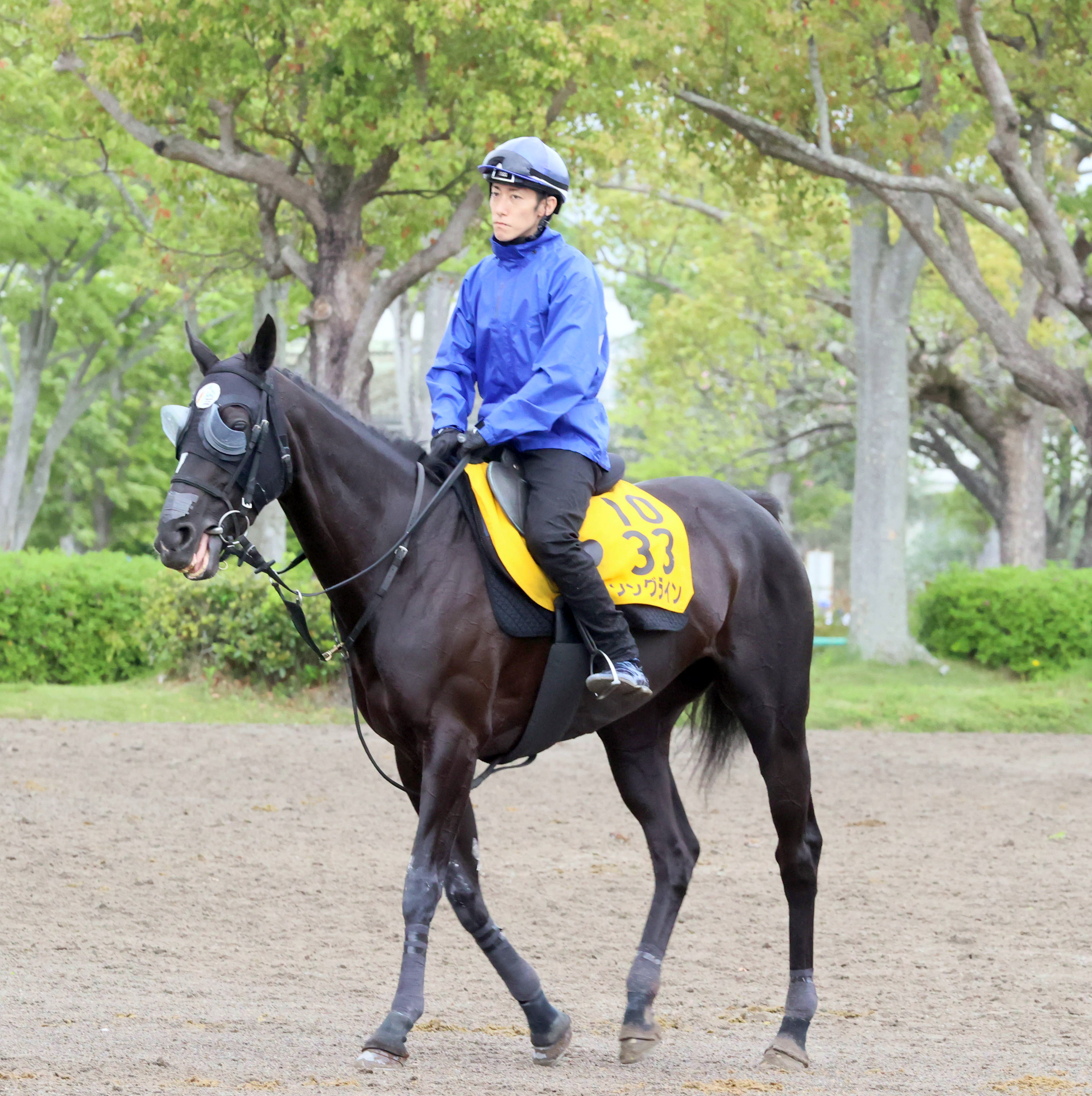 ソングライン 出資者限定ジャンパー 競馬