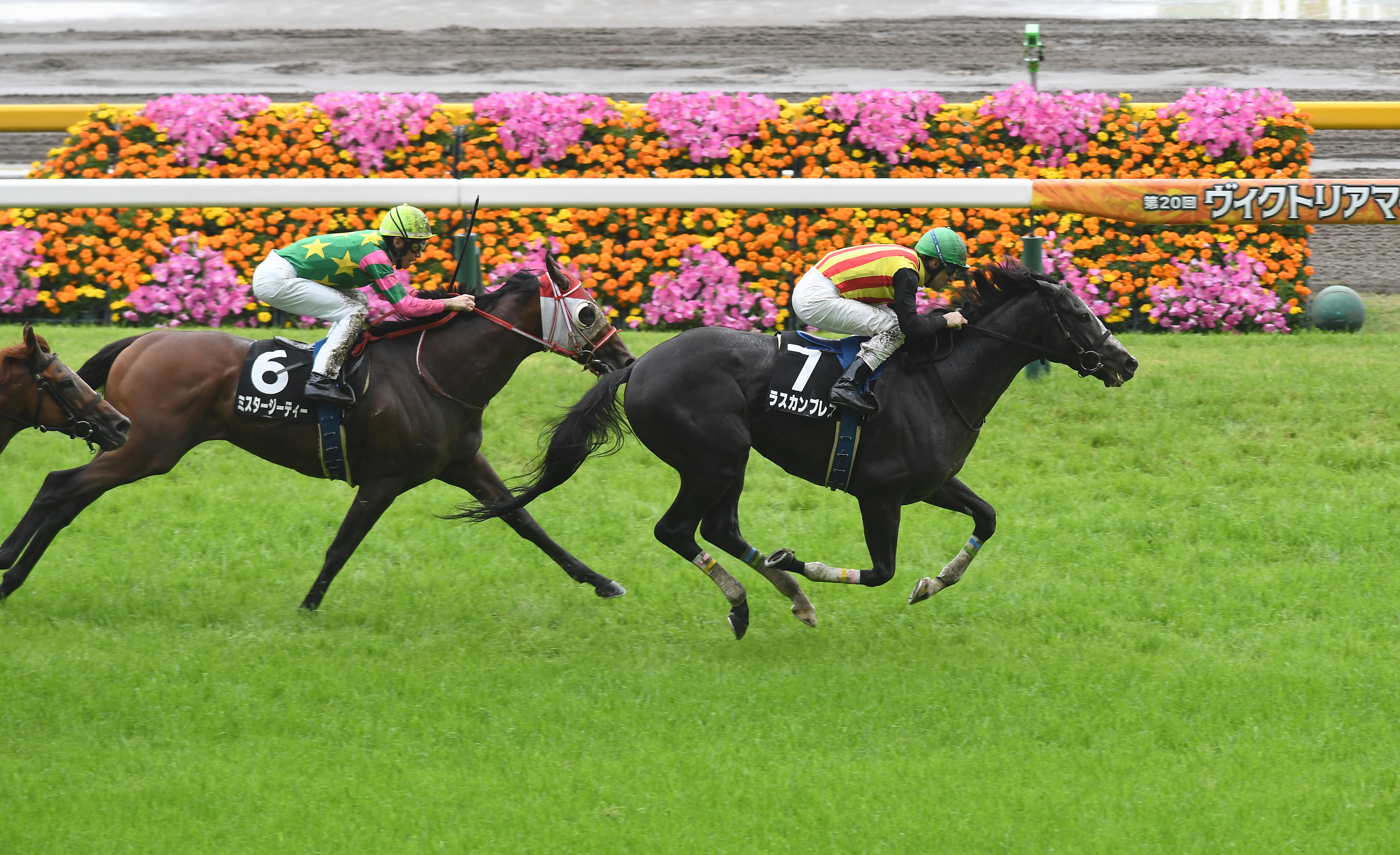 小倉記念の注目点】初勝利を目指す関東馬が2頭登録 友道康夫調教