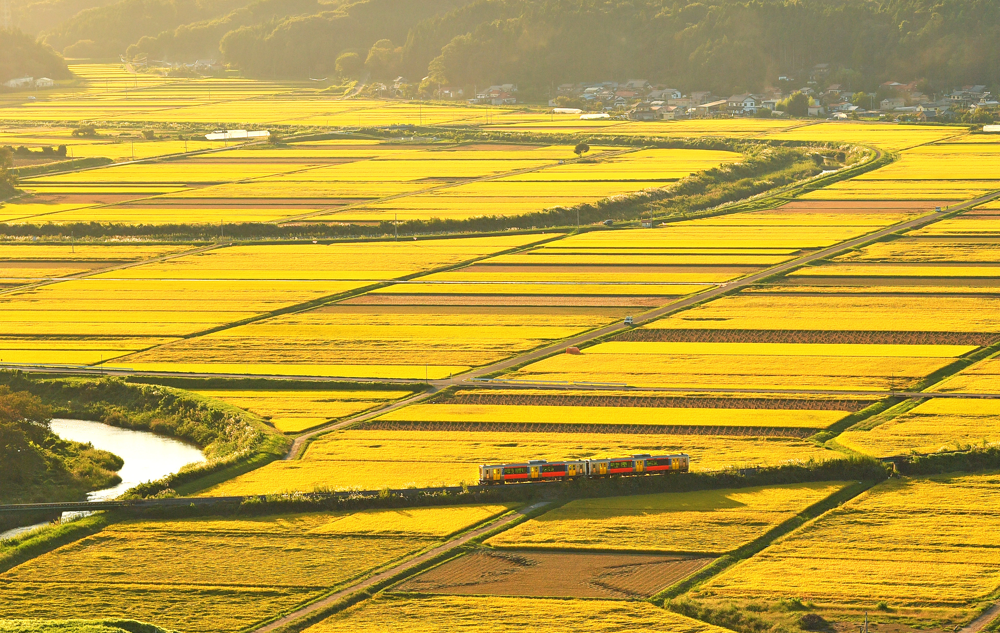 動画】実りの秋、田園地帯を駆け抜けるJR水郡線 福島県浅川町