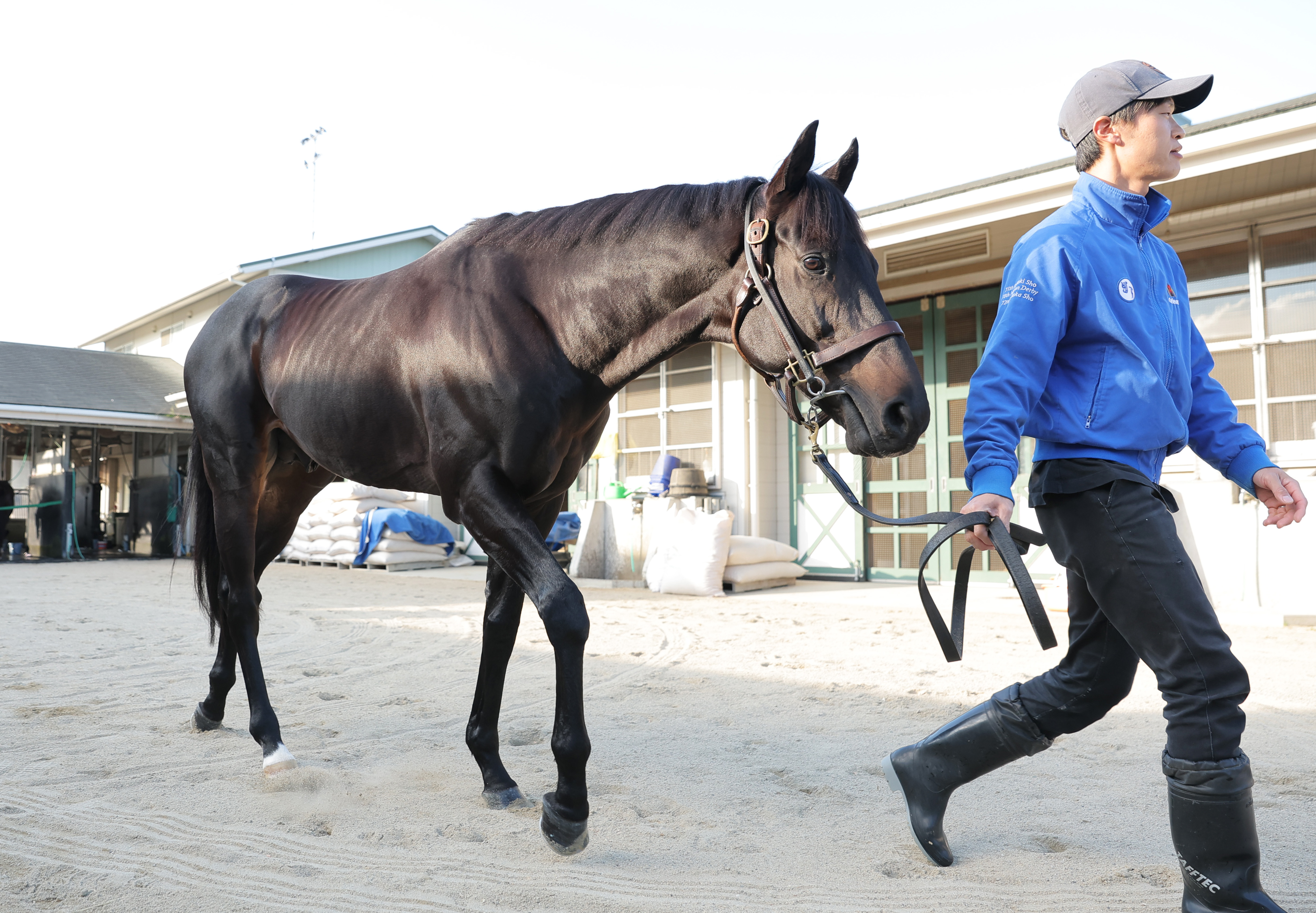 カタール・アミールT】8歳馬ディープモンスターが海外初挑戦V！ 池江