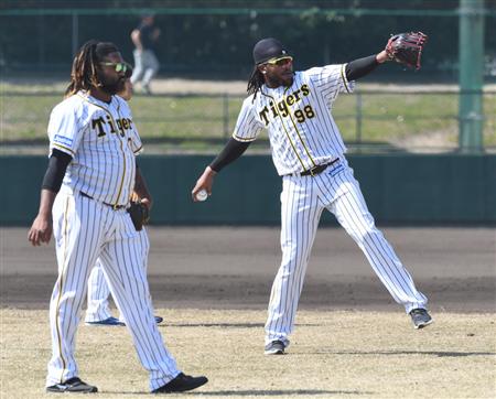 球界ここだけの話 １２９１ 阪神 マテオとドリスの見分け方は ドミニカ共和国ではドレッドヘアが流行 サンスポ