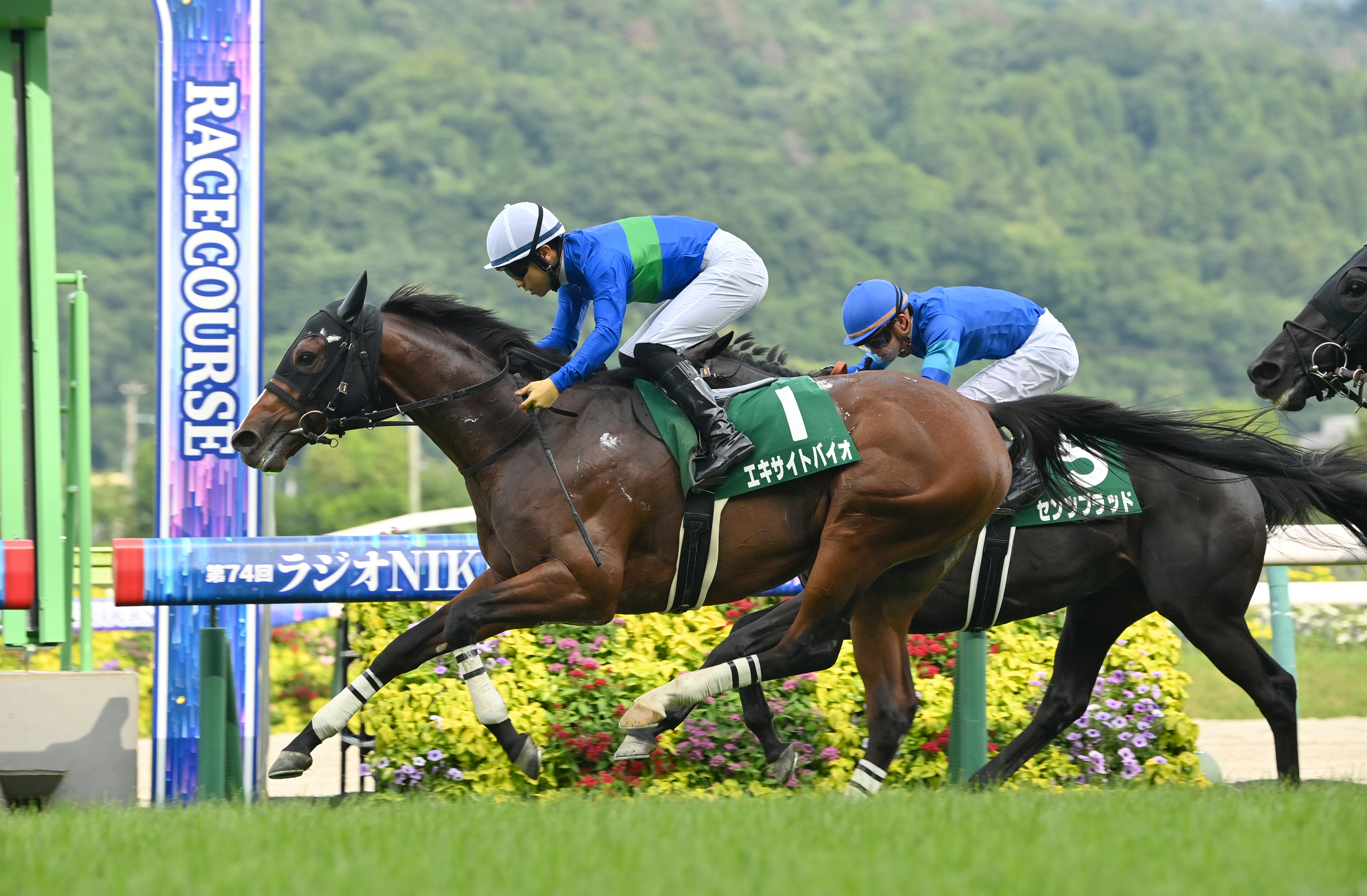 競馬予想　極4 ラジオNIKKEI賞】エキサイトバイオが馬群をさばいて抜け出す