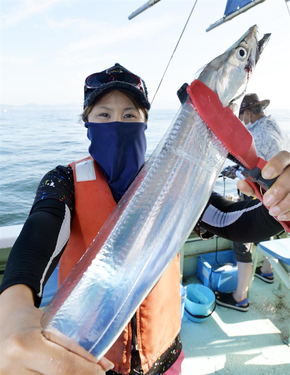 タチウオ来た 明石海峡に群れ 竿頭３０匹超でクーラー満タン 関西フィッシング 1 3ページ サンスポ